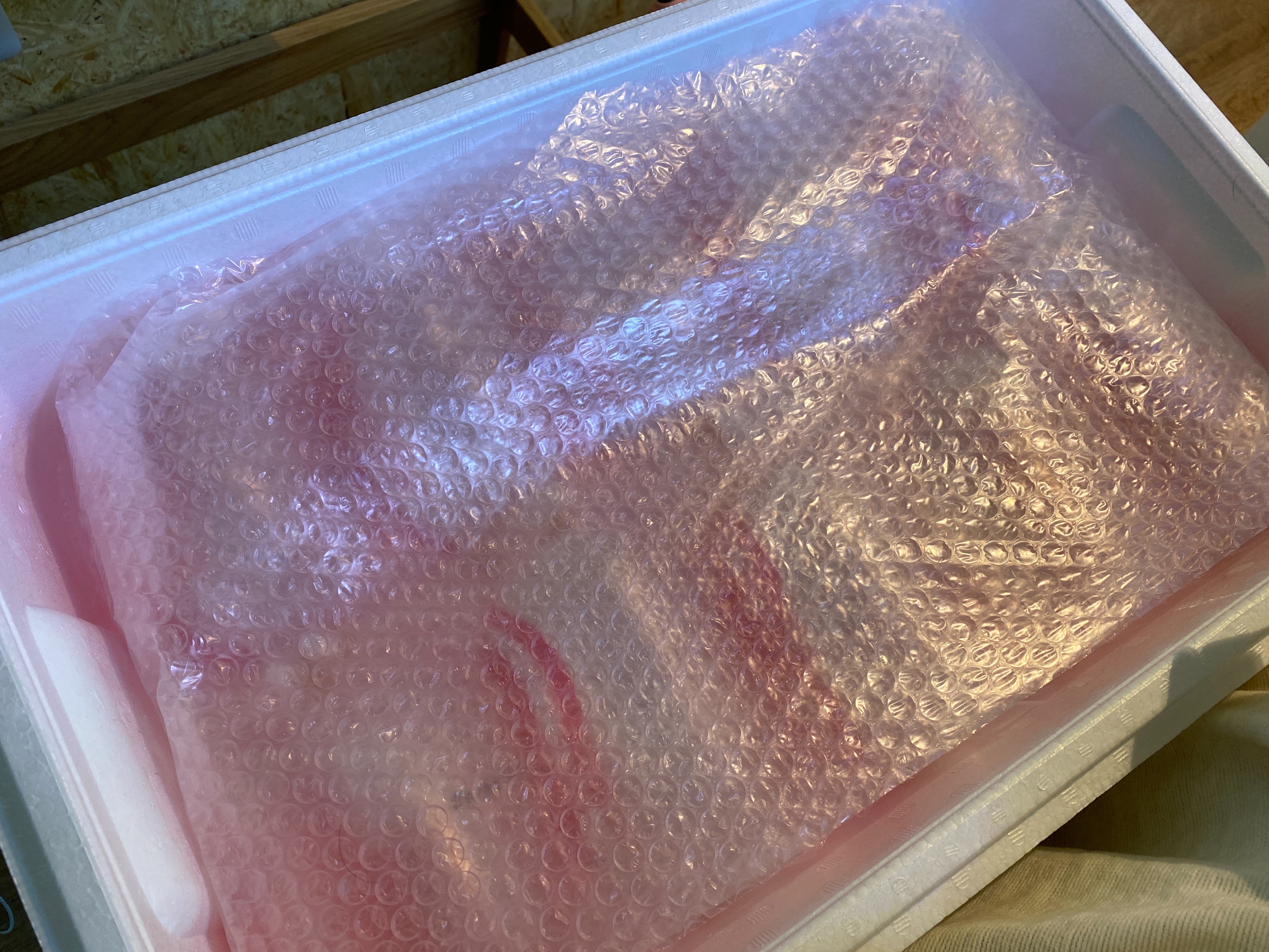 f:id:popopoppun:20221219135221j:image