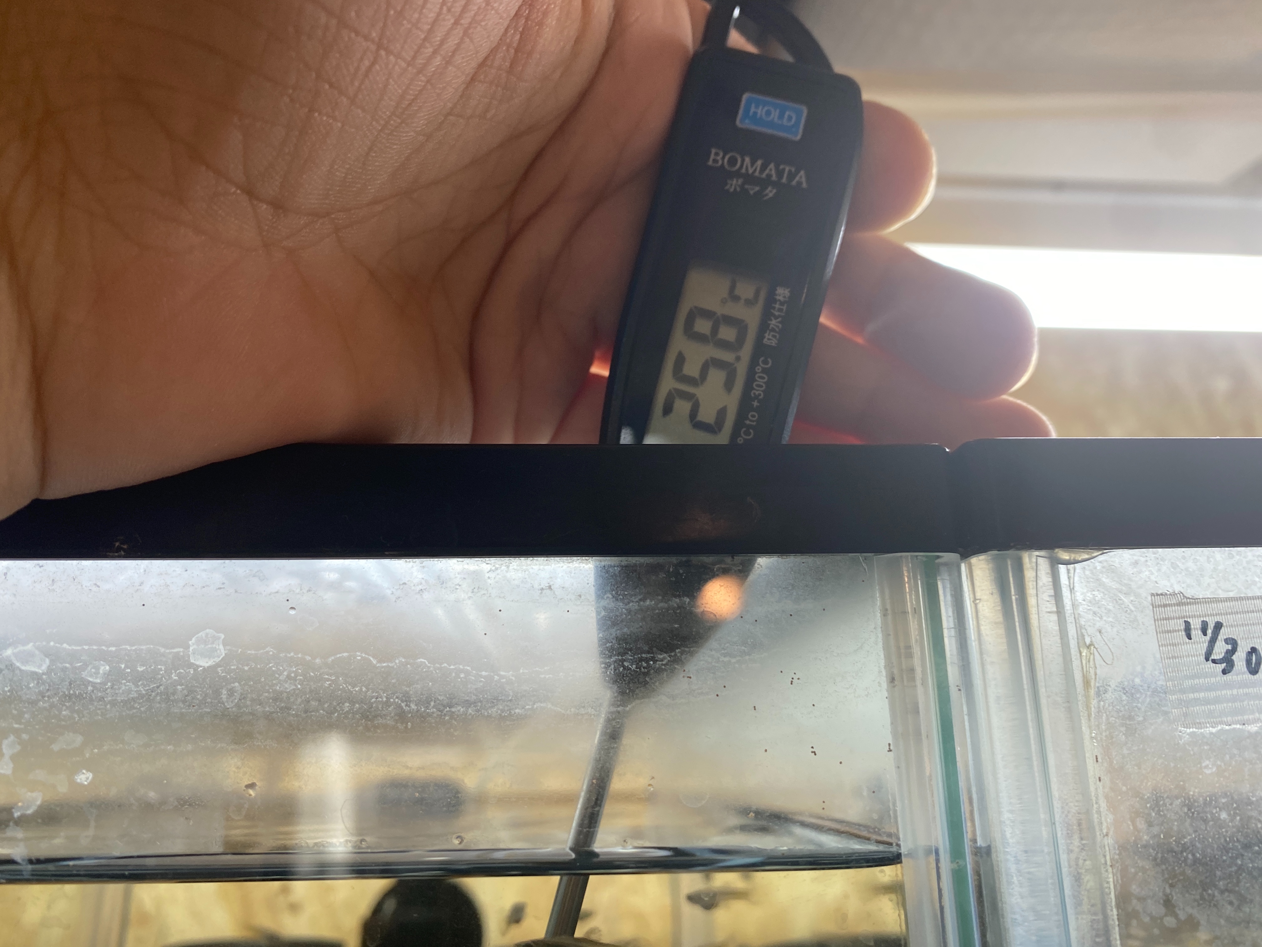 f:id:popopoppun:20221219140517j:image