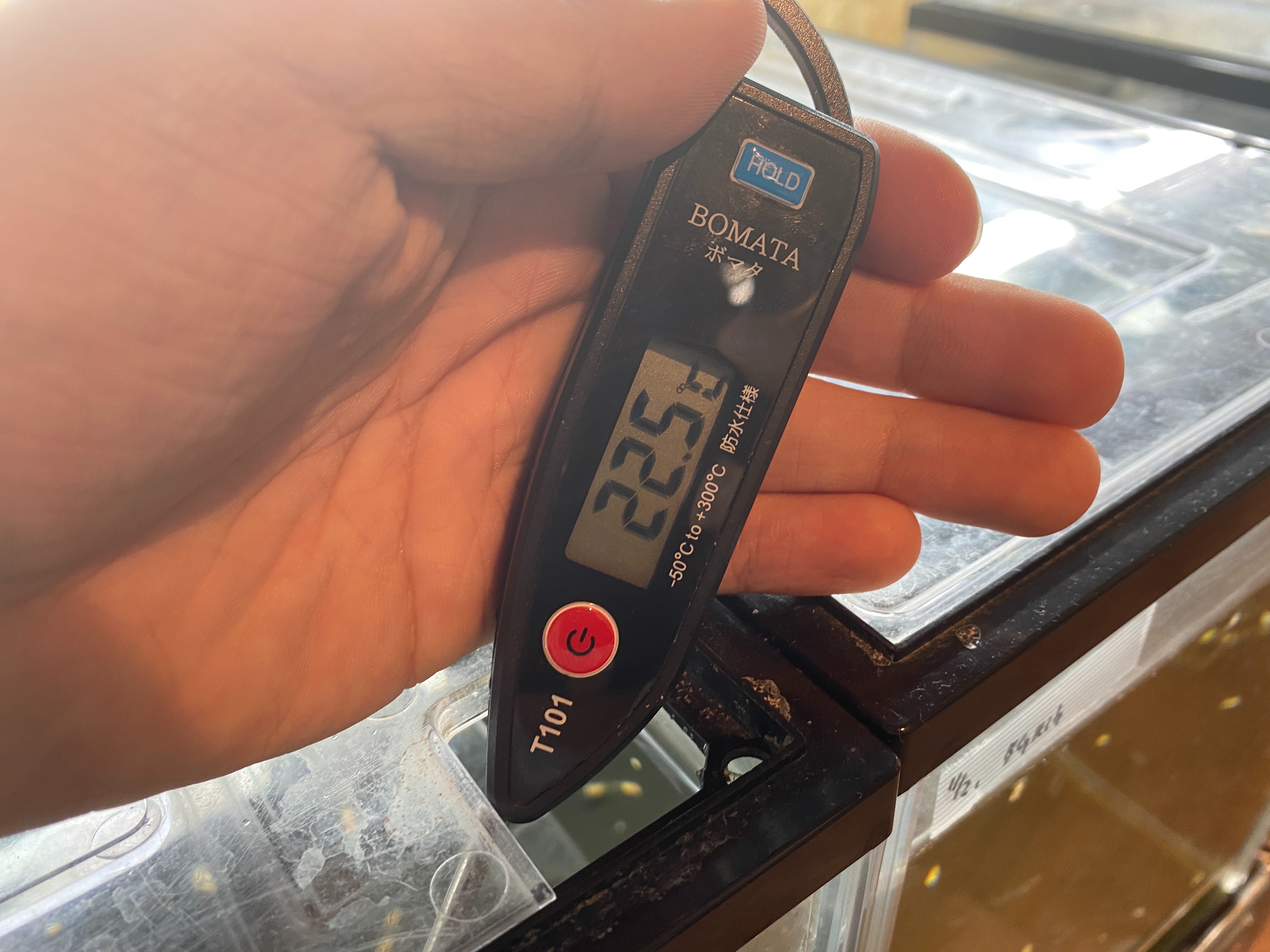 f:id:popopoppun:20221219140527j:image