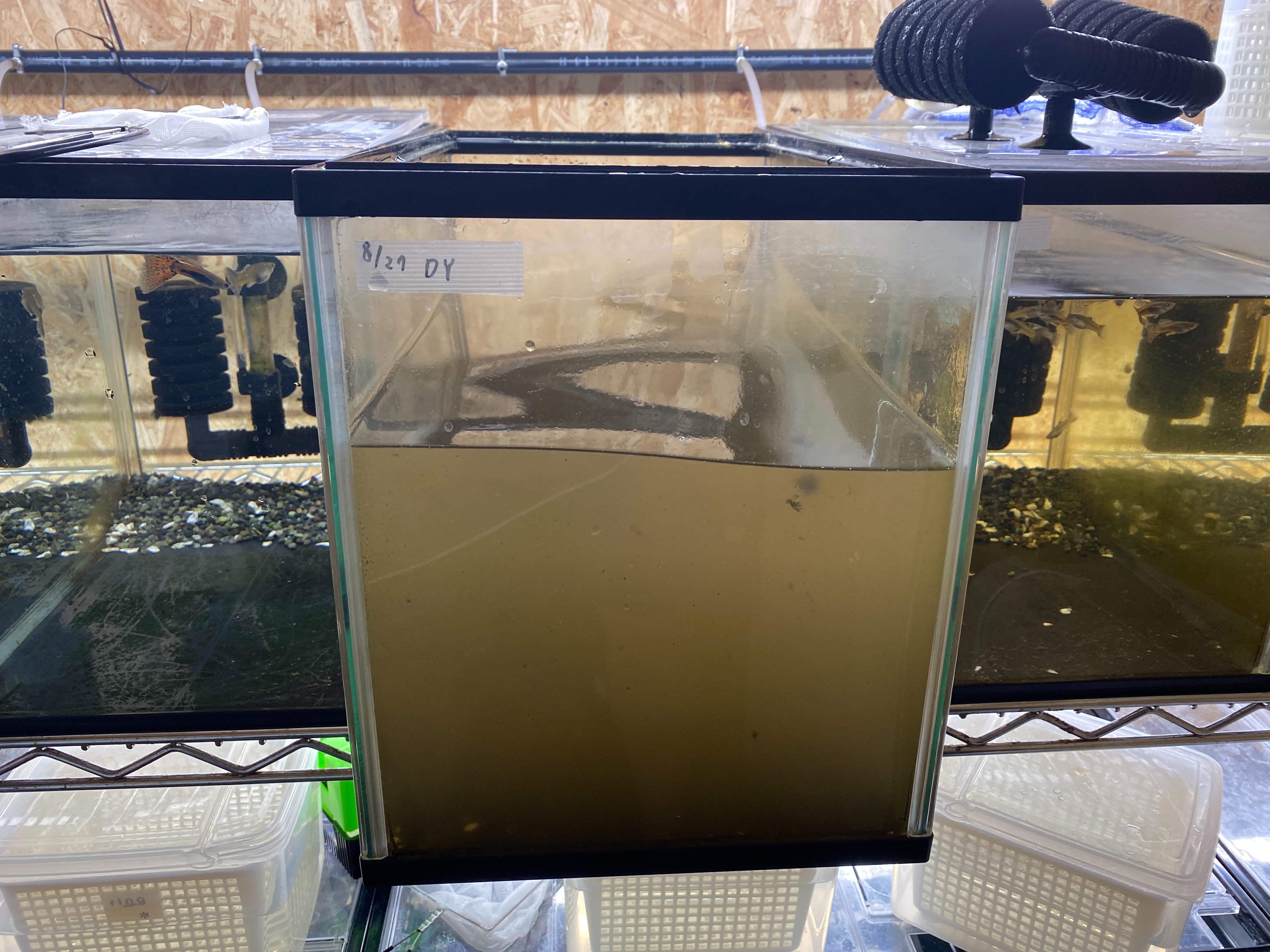 f:id:popopoppun:20221225100020j:image