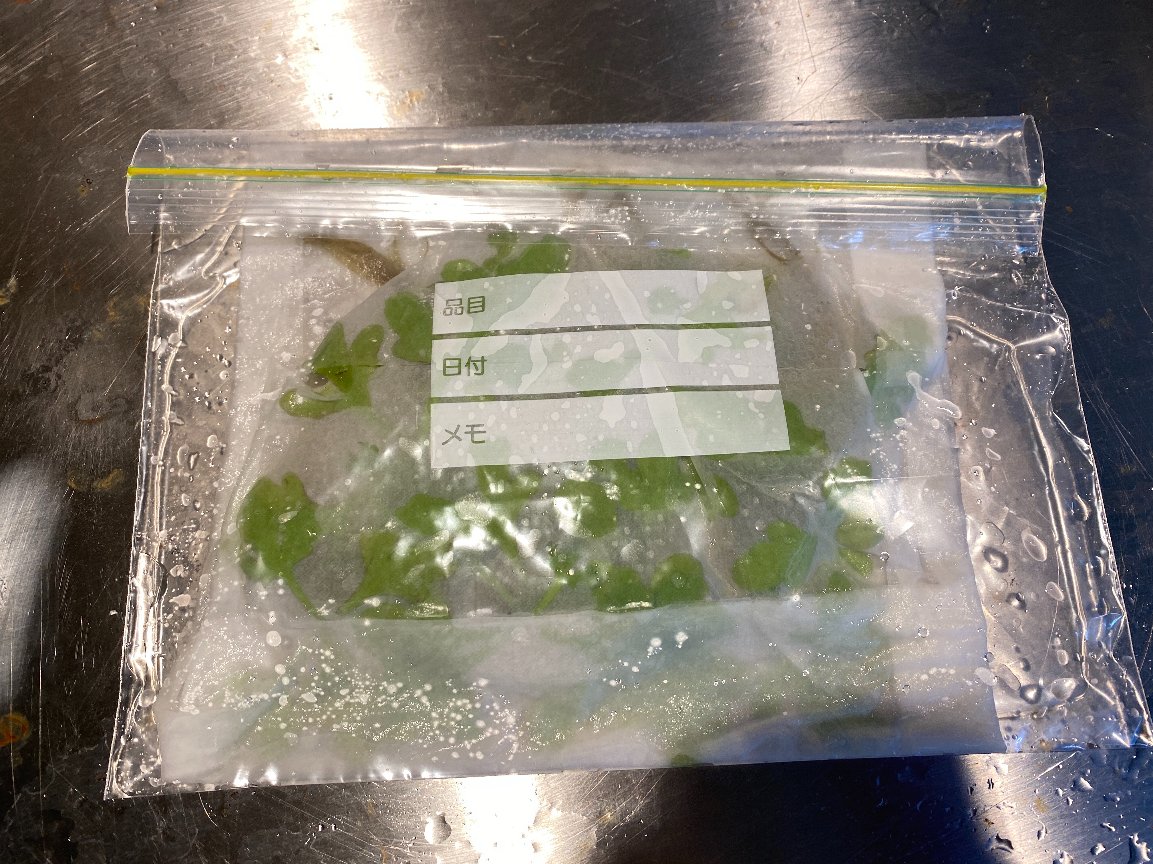 f:id:popopoppun:20221227053557j:image