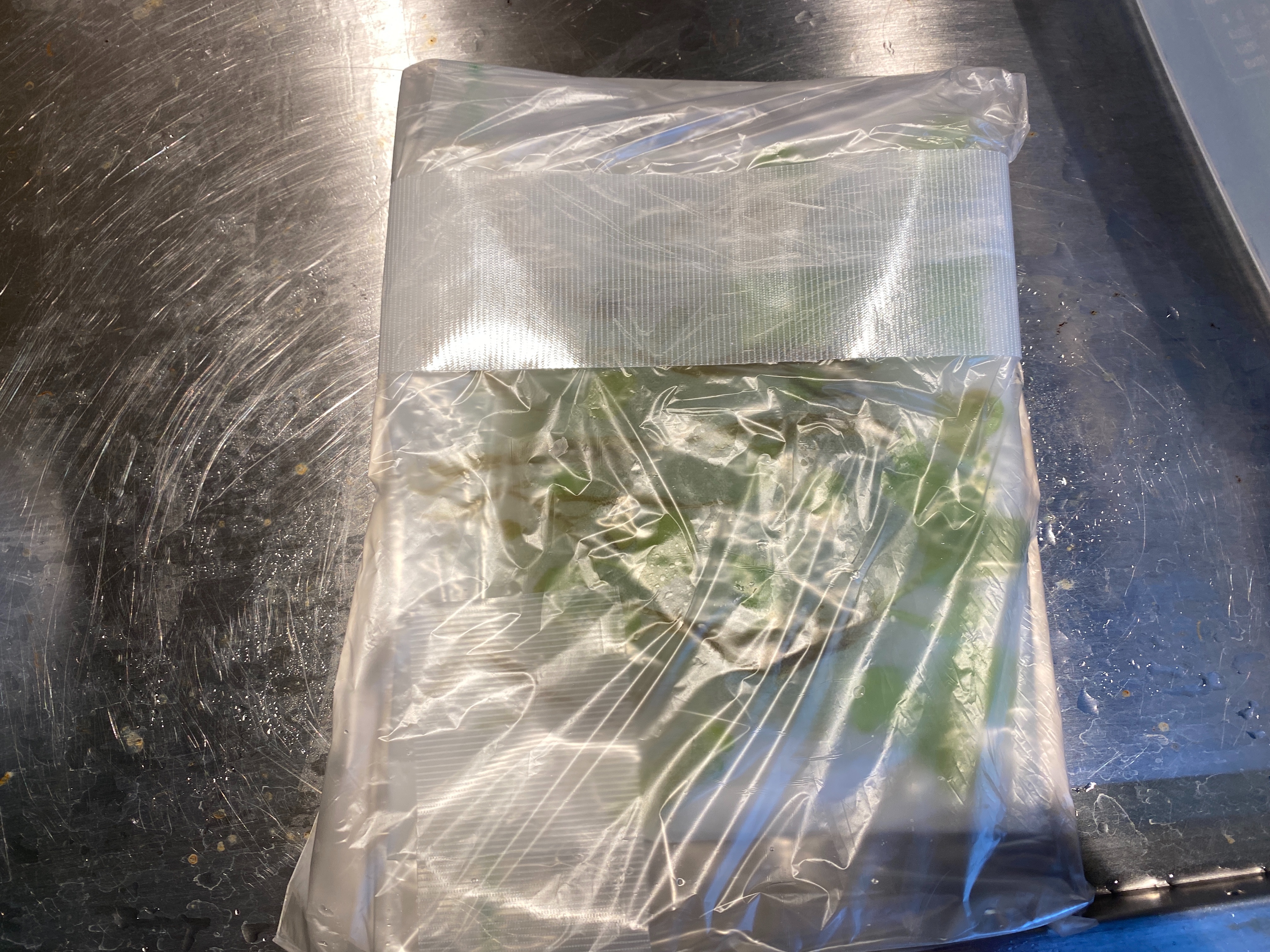 f:id:popopoppun:20221227053728j:image