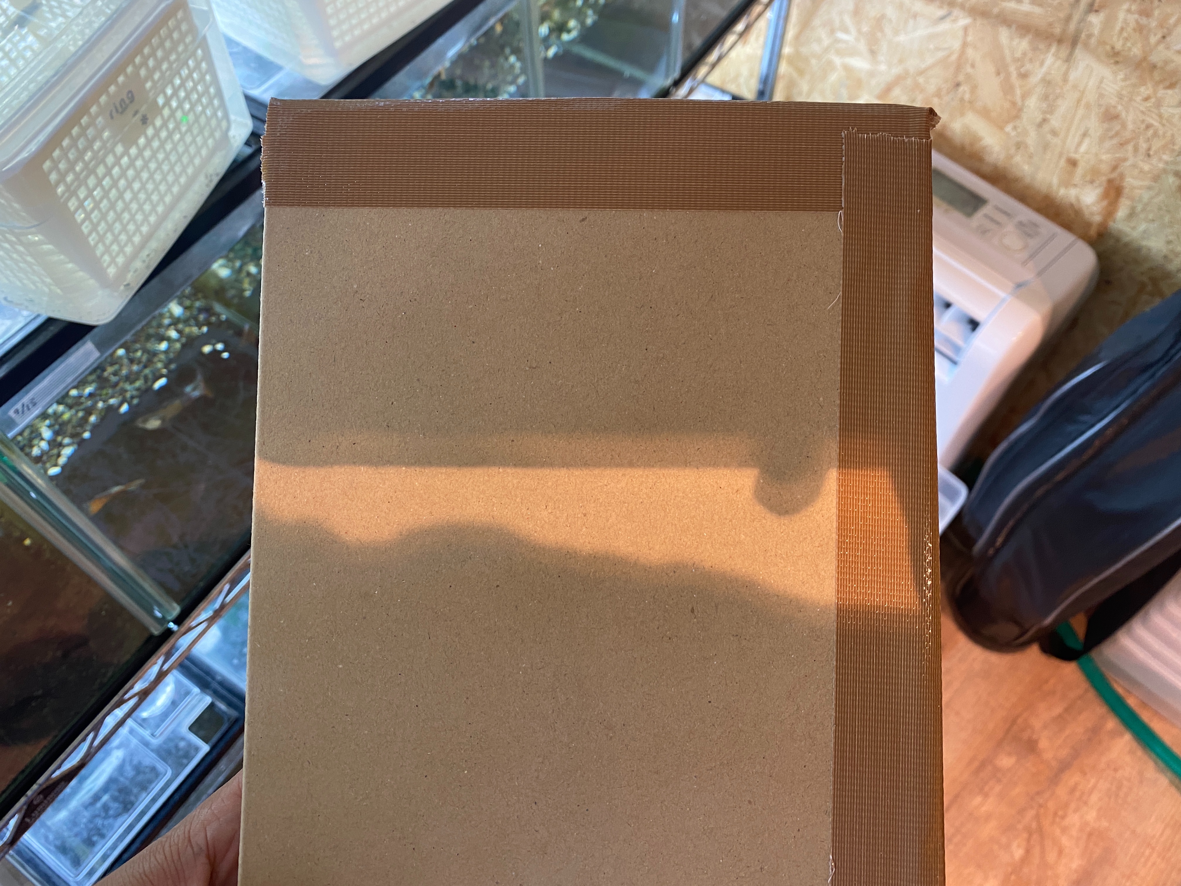 f:id:popopoppun:20221227053930j:image