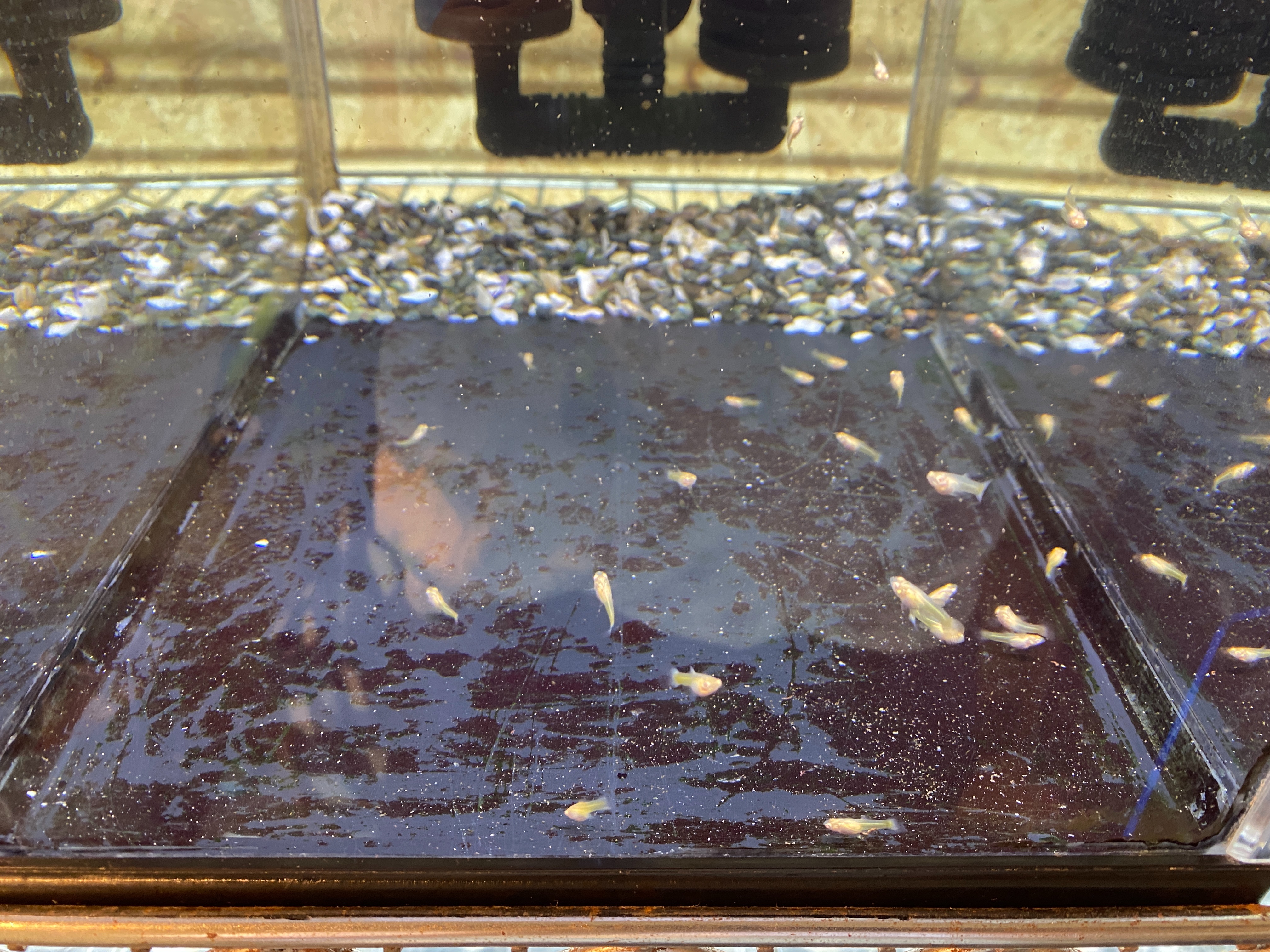 f:id:popopoppun:20221228164656j:image f:id:popopoppun:20221228164656j:image