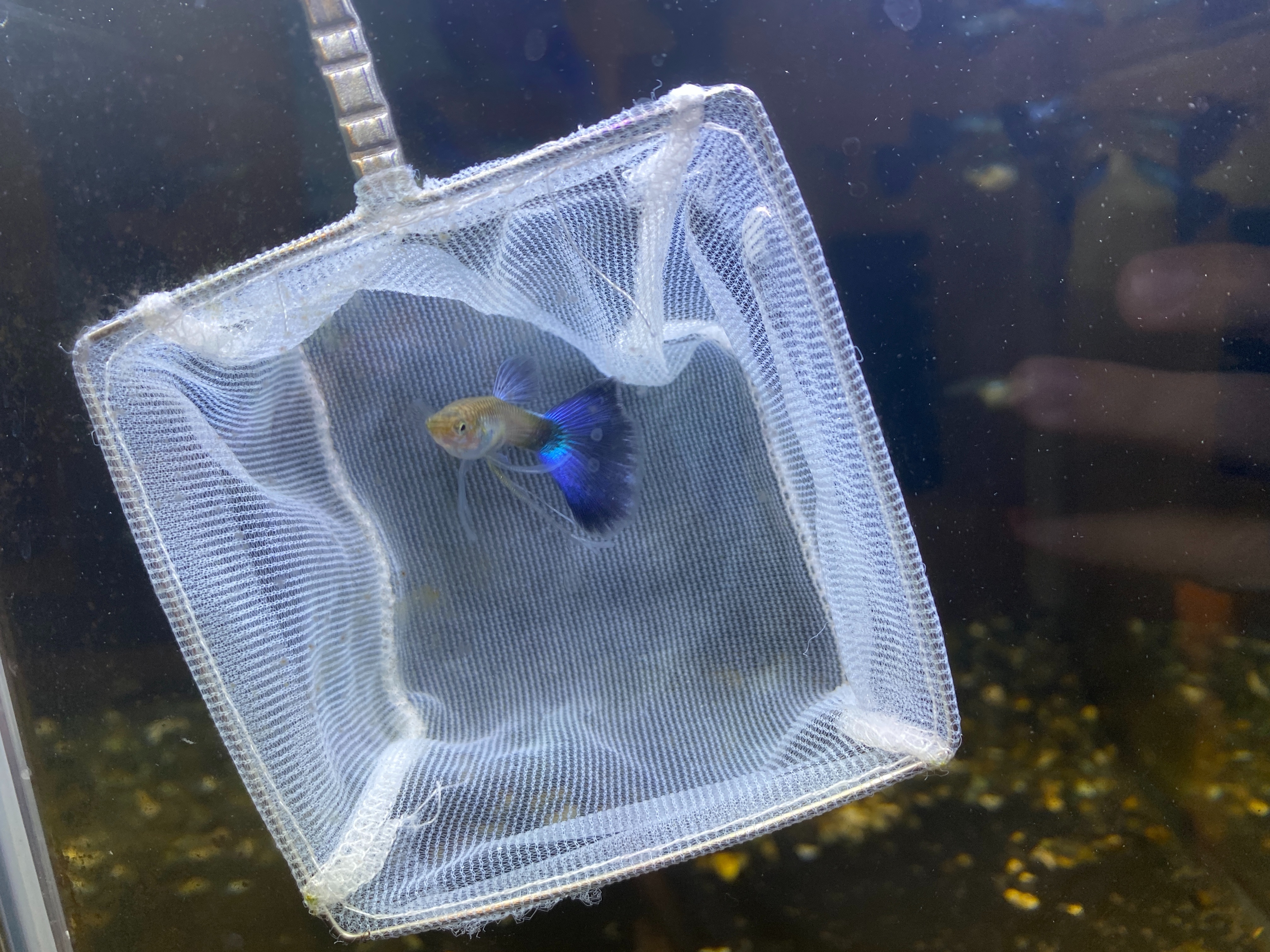 f:id:popopoppun:20221228164753j:image f:id:popopoppun:20221228164753j:image