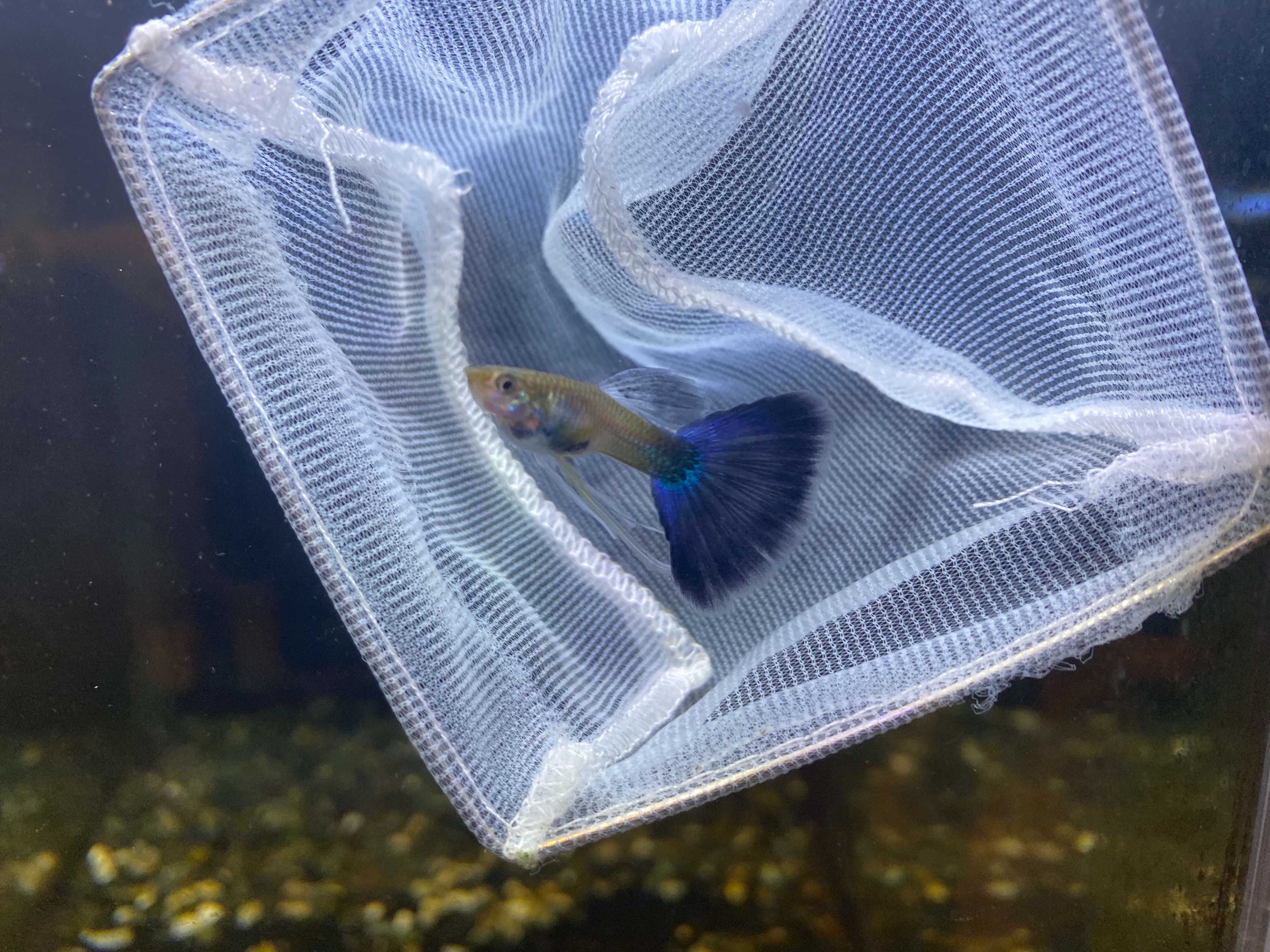 f:id:popopoppun:20221228164810j:image f:id:popopoppun:20221228164810j:image