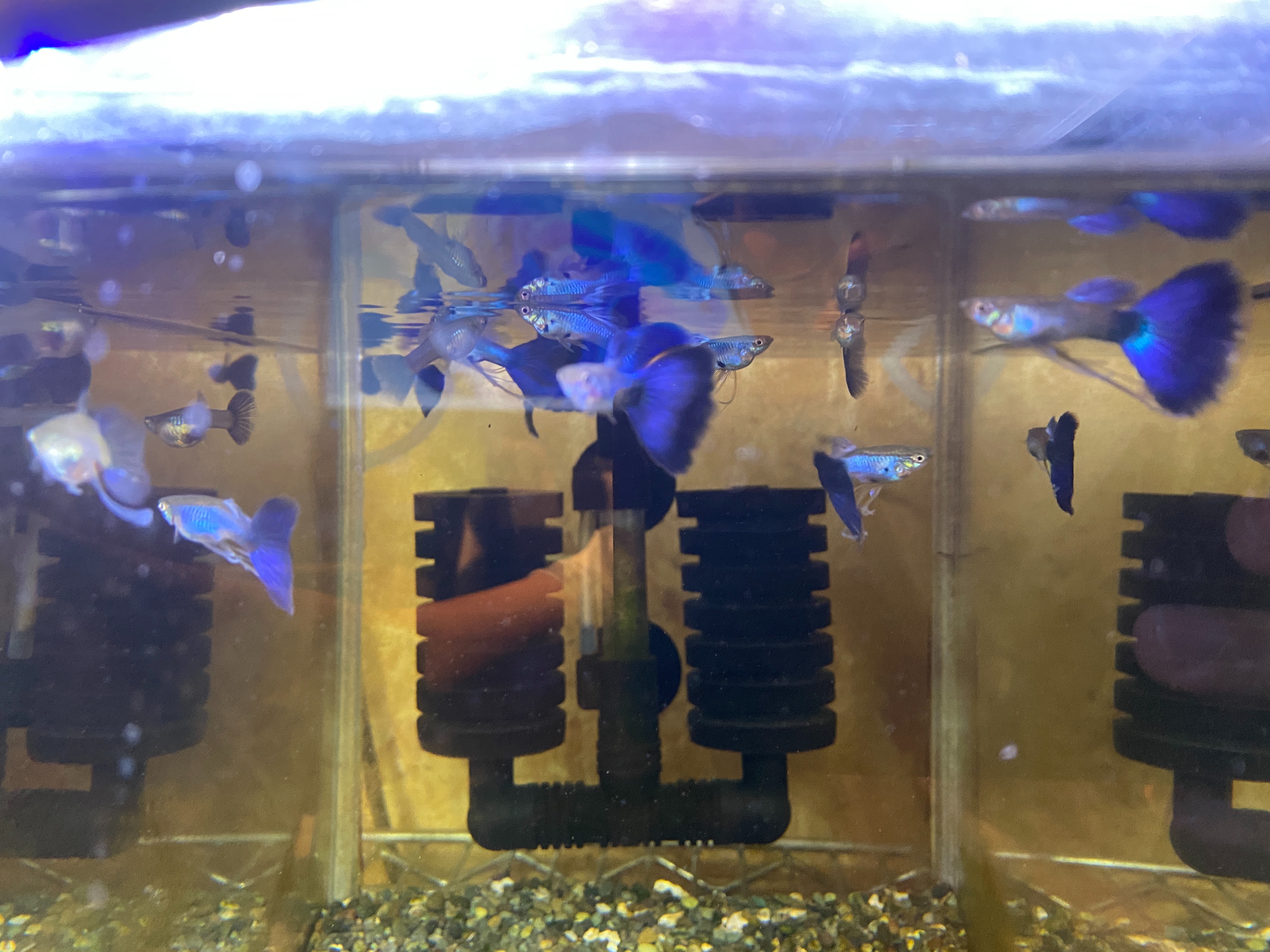 f:id:popopoppun:20221228164828j:image f:id:popopoppun:20221228164828j:image