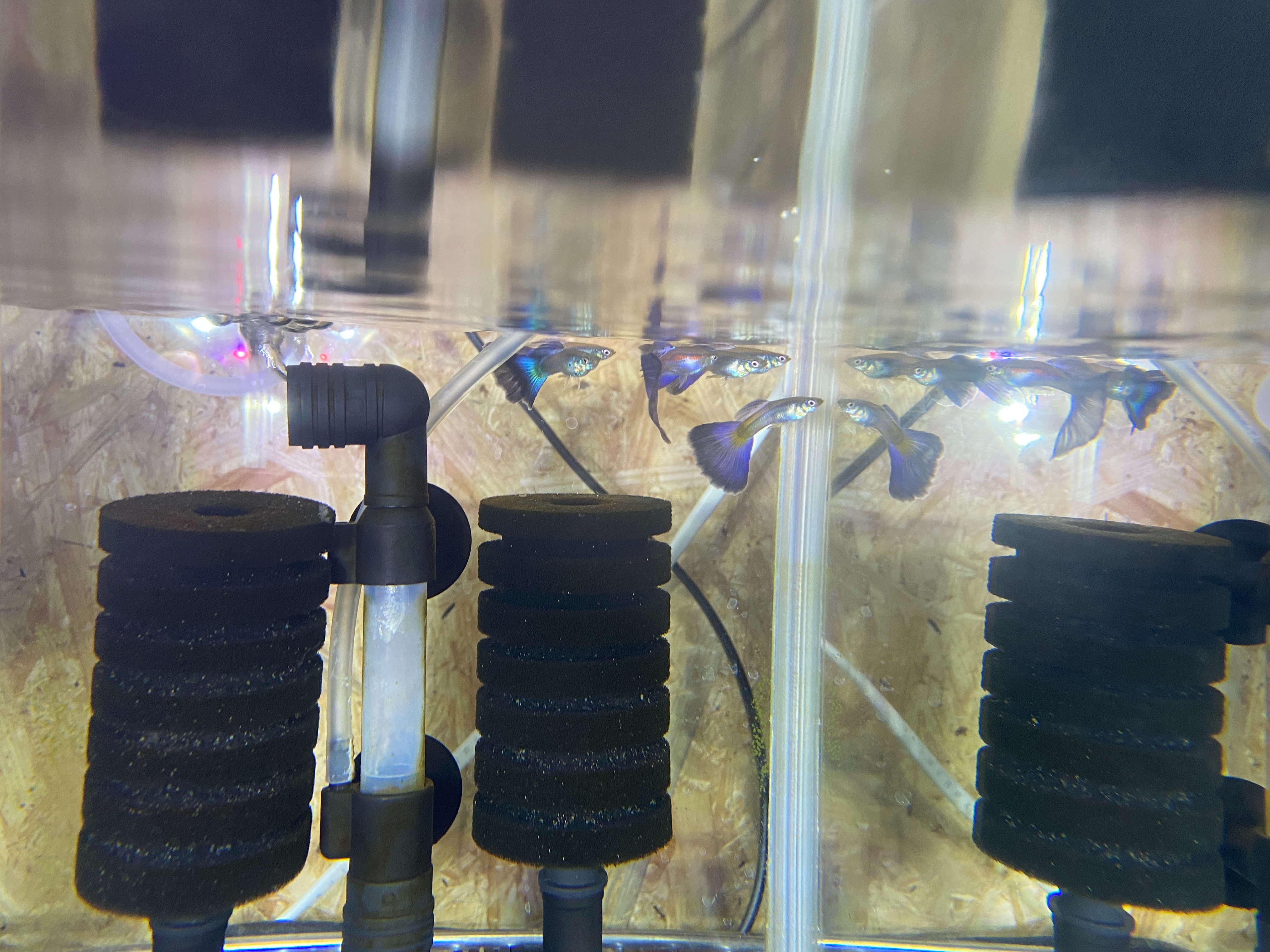 f:id:popopoppun:20221228164835j:image f:id:popopoppun:20221228164835j:image