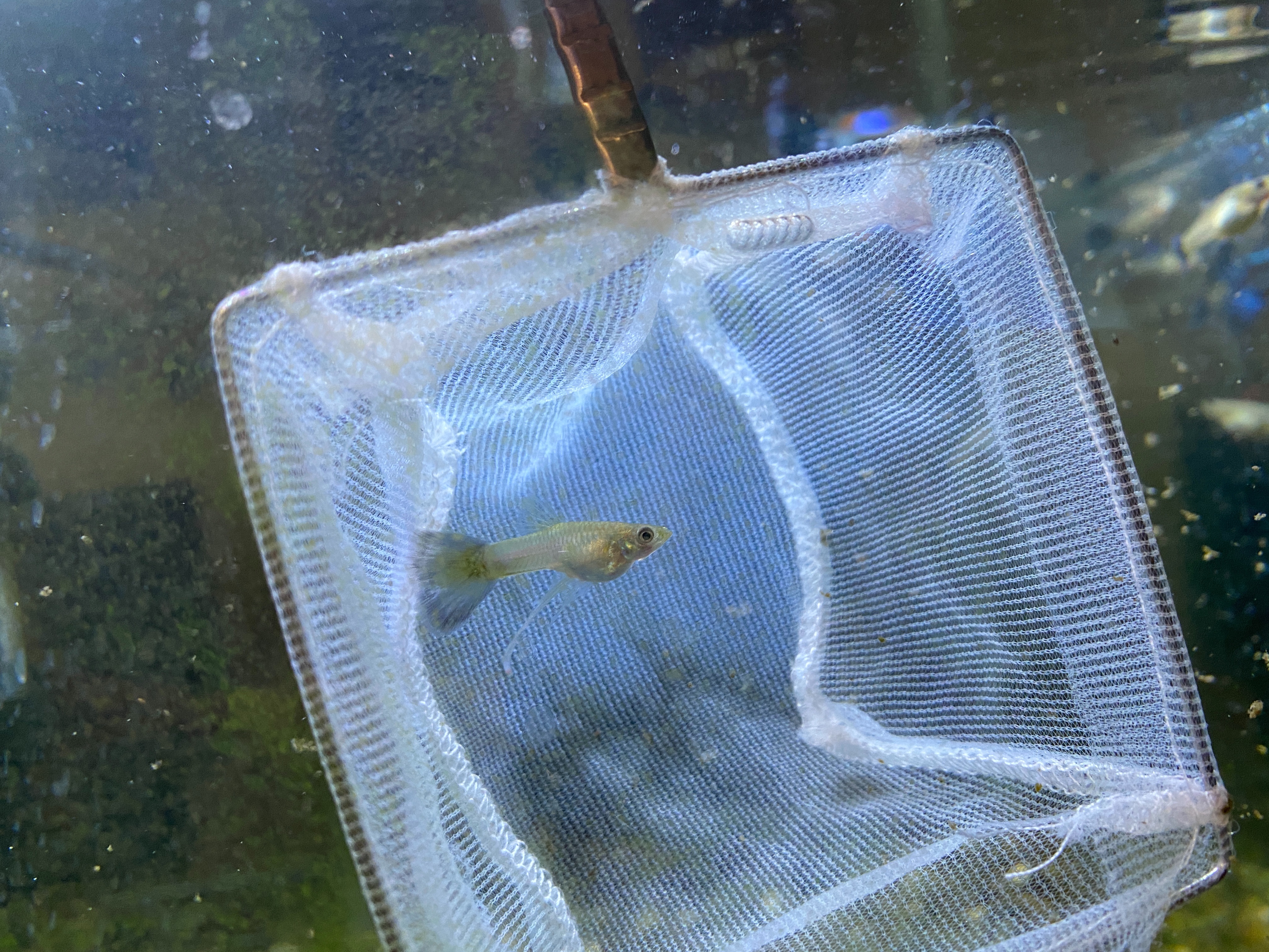 f:id:popopoppun:20221228164844j:image f:id:popopoppun:20221228164844j:image