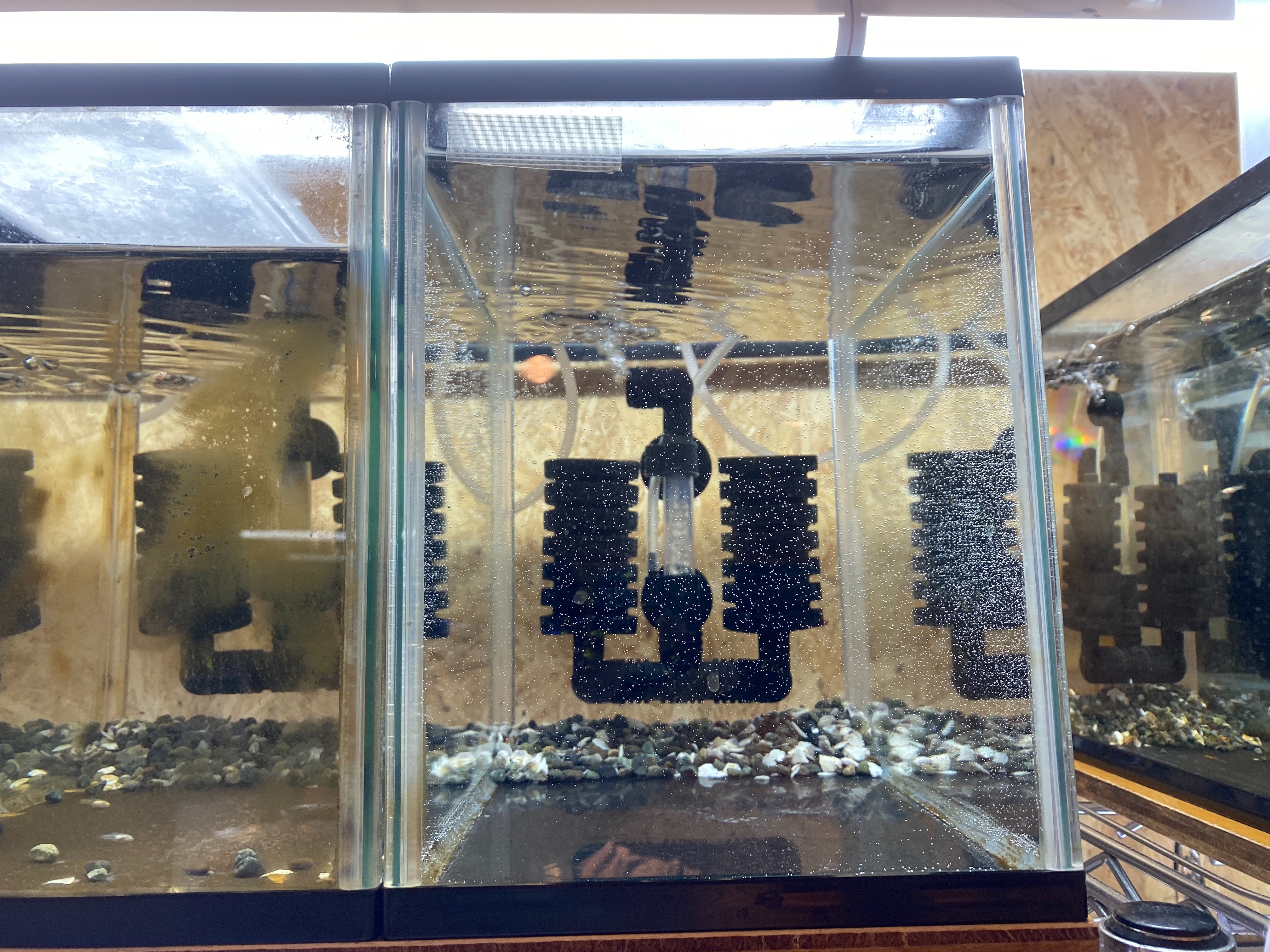 f:id:popopoppun:20221228164852j:image f:id:popopoppun:20221228164852j:image