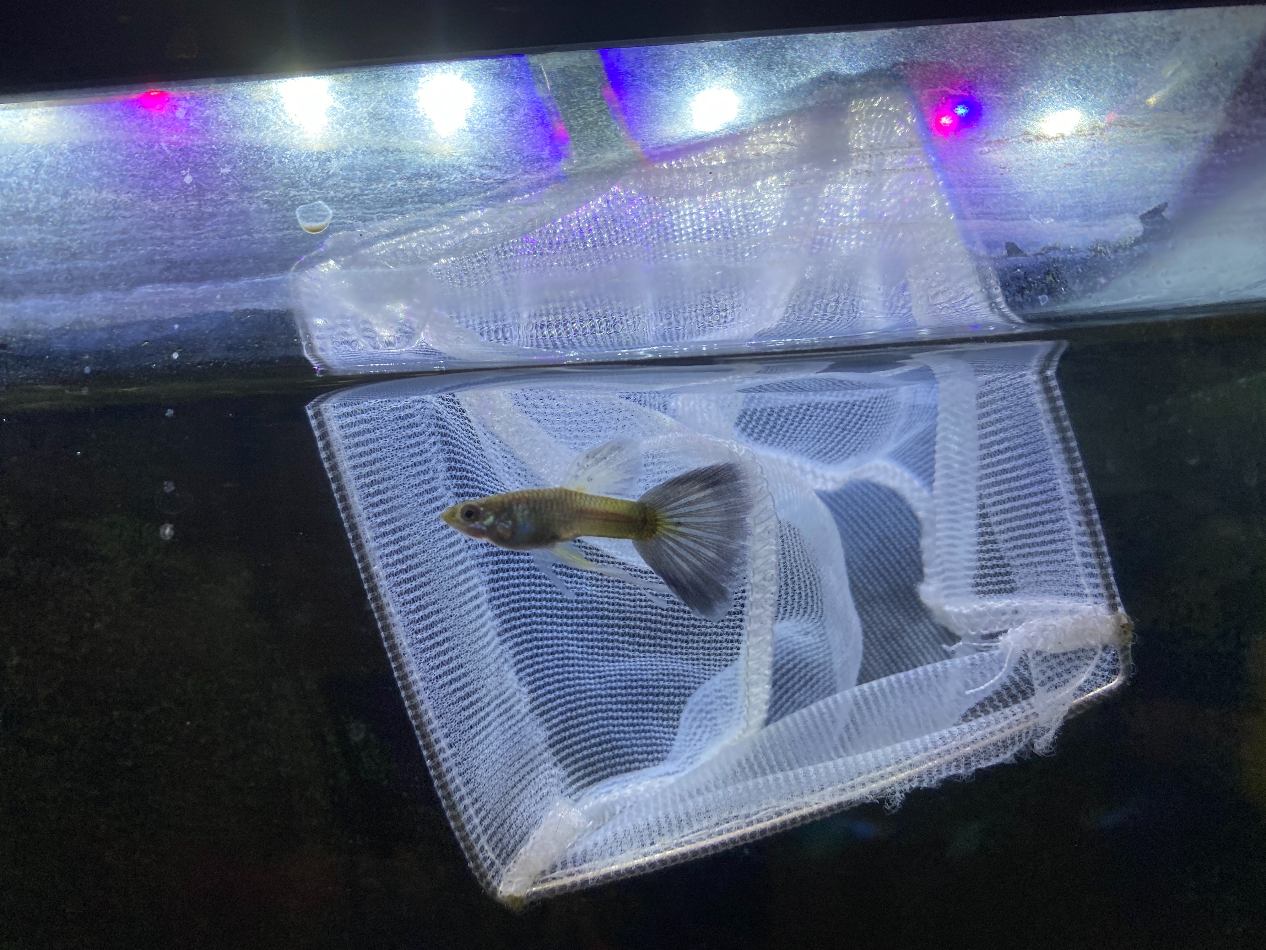 f:id:popopoppun:20221228164901j:image f:id:popopoppun:20221228164901j:image