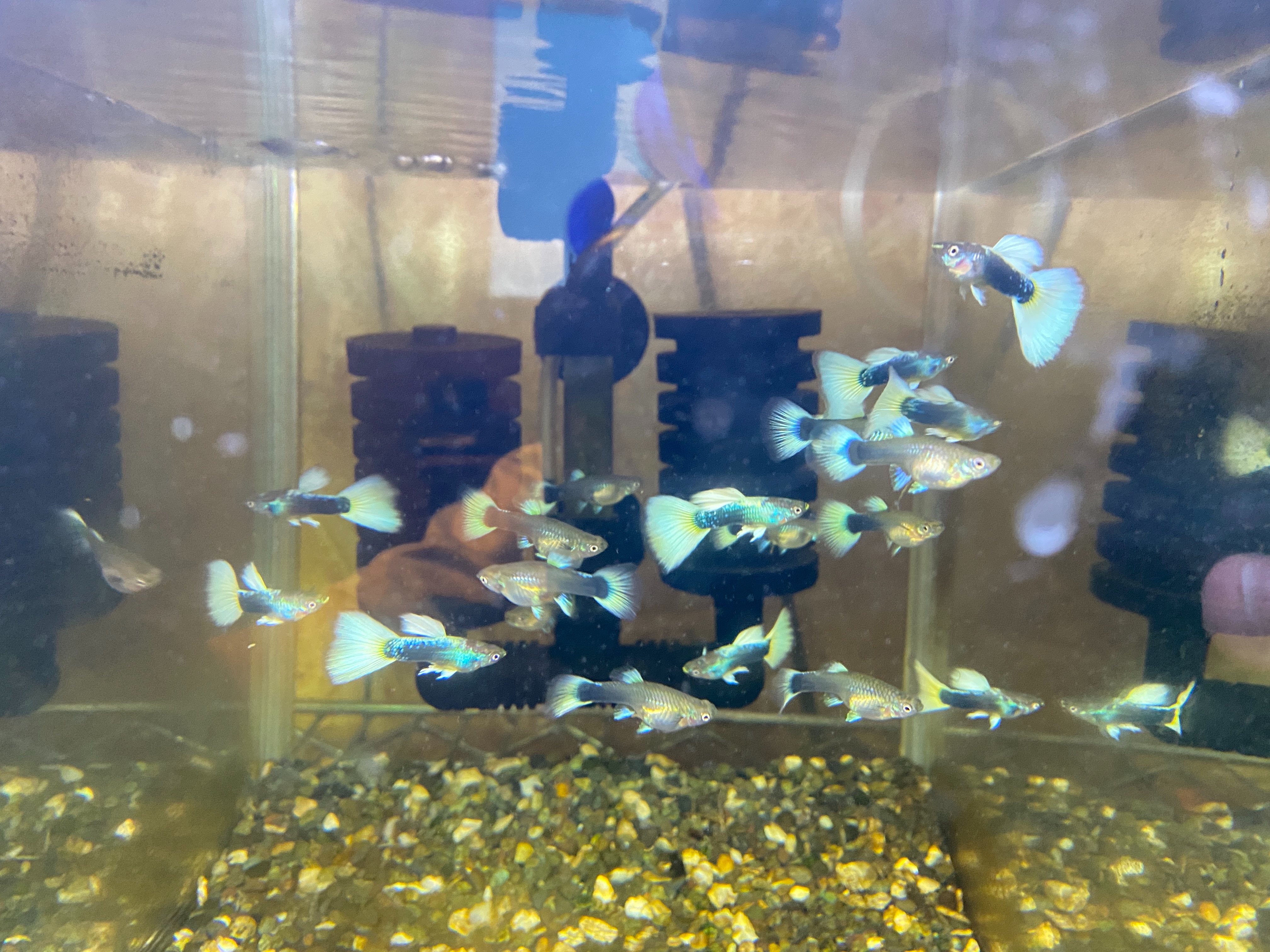 f:id:popopoppun:20221228164909j:image f:id:popopoppun:20221228164909j:image