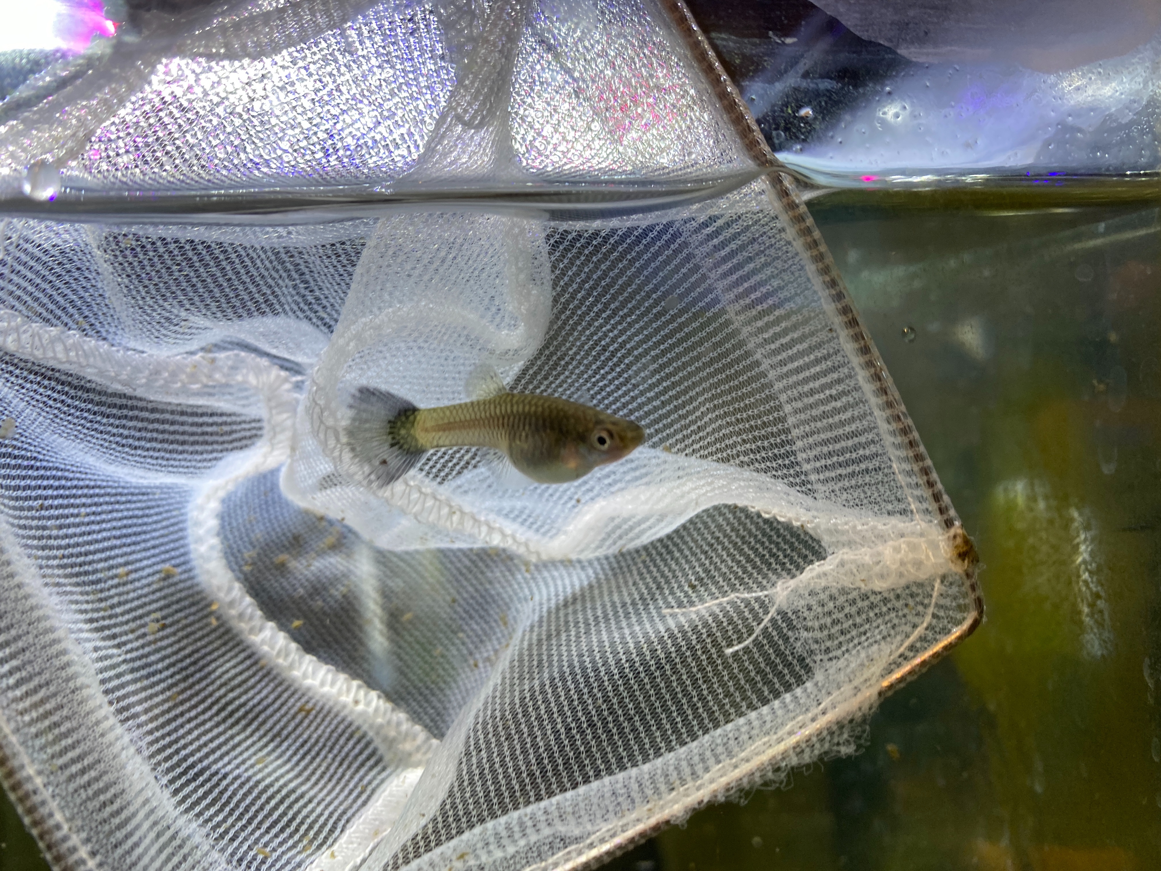 f:id:popopoppun:20221228164941j:image f:id:popopoppun:20221228164941j:image