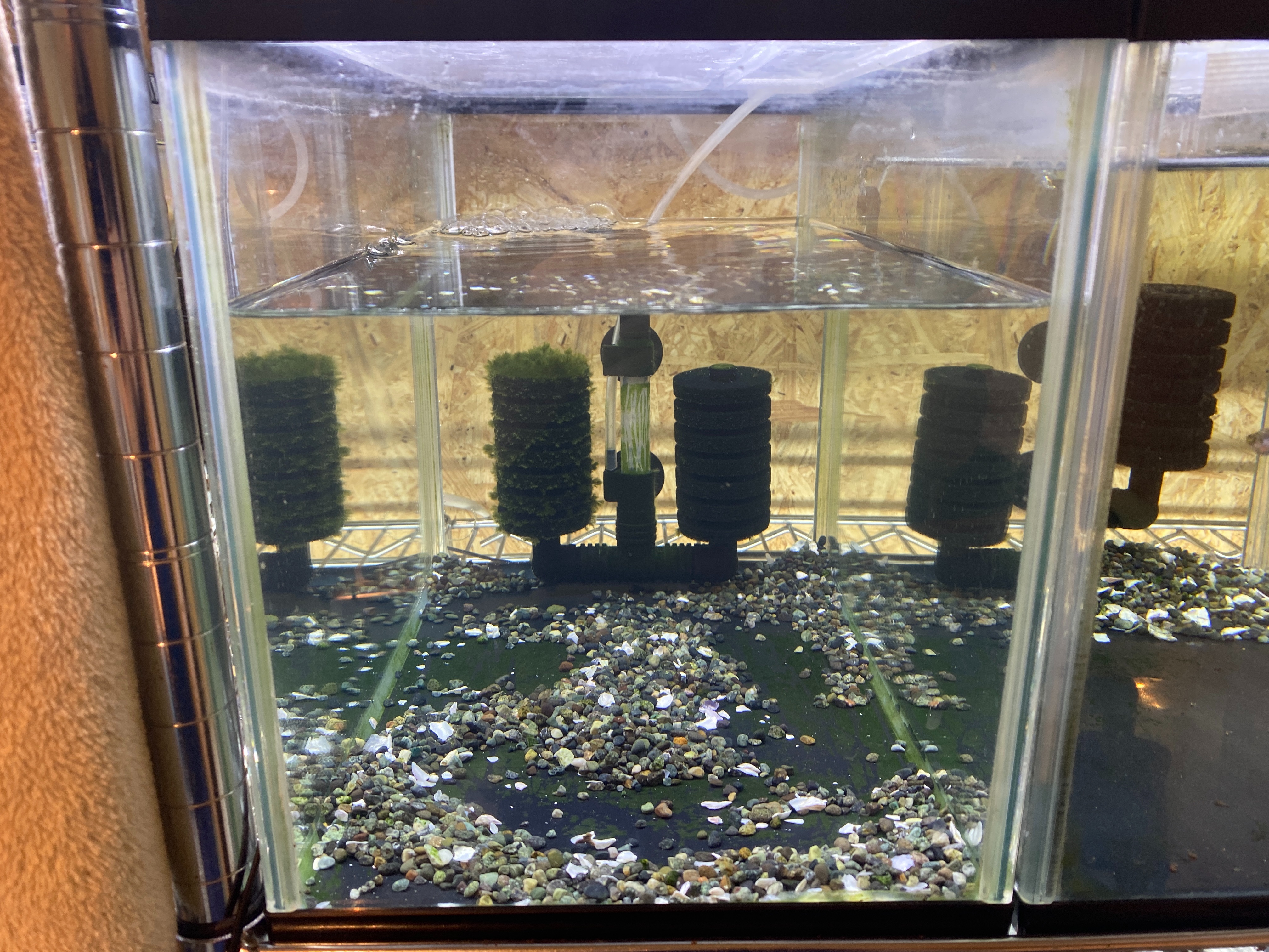 f:id:popopoppun:20221230073132j:image f:id:popopoppun:20221230073132j:image