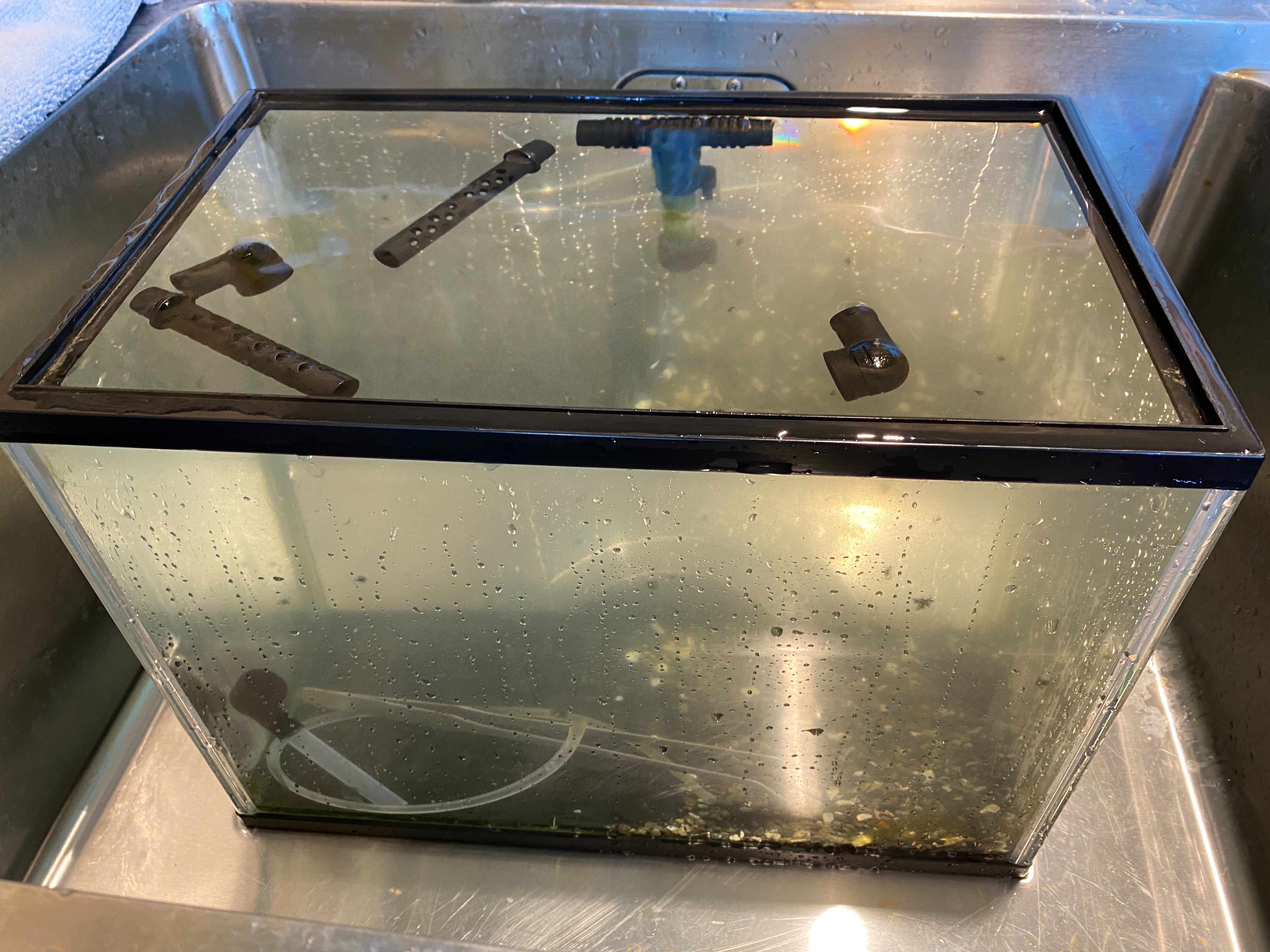 f:id:popopoppun:20221230073232j:image f:id:popopoppun:20221230073232j:image