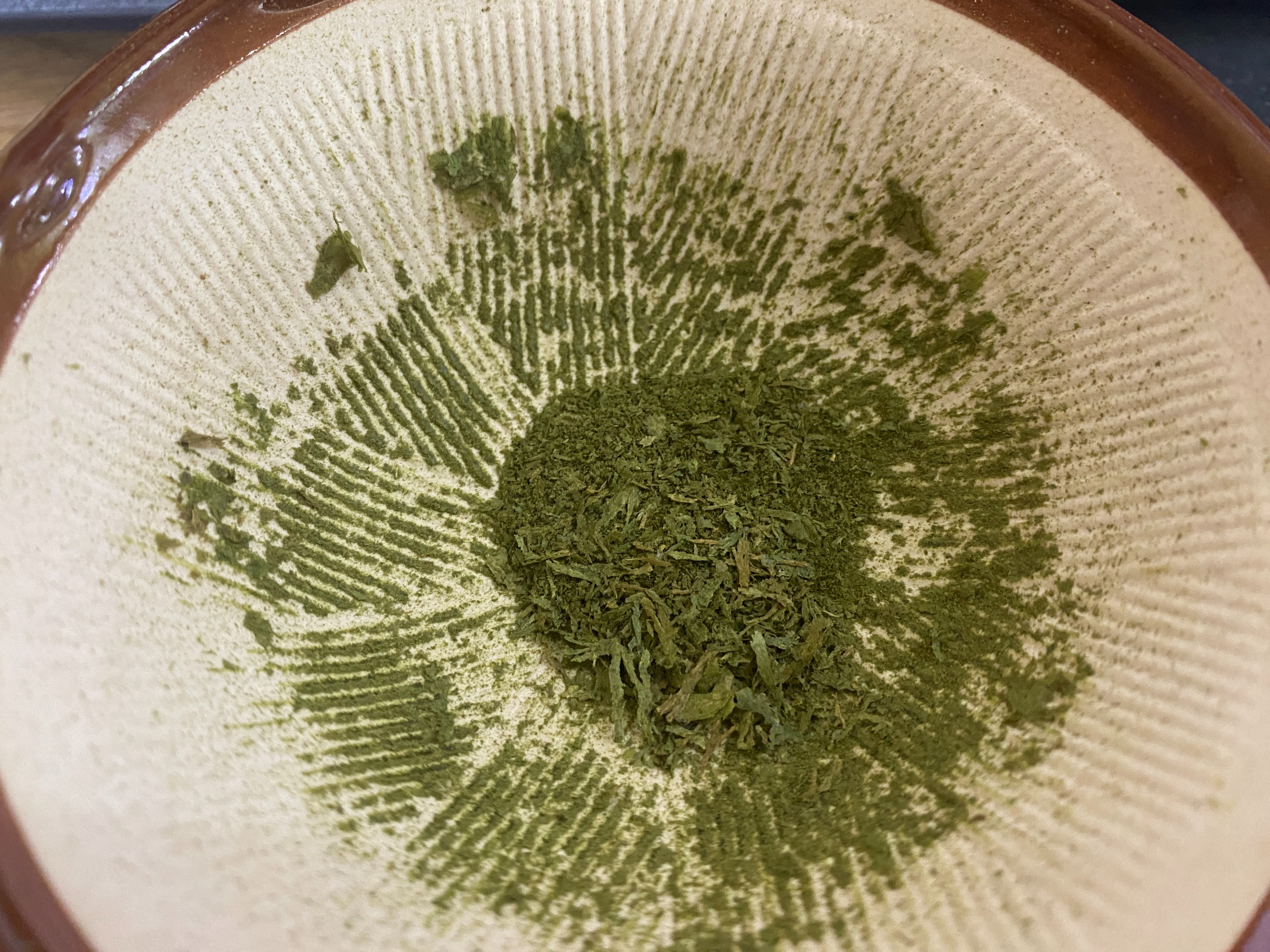 f:id:popopoppun:20230404083251j:image