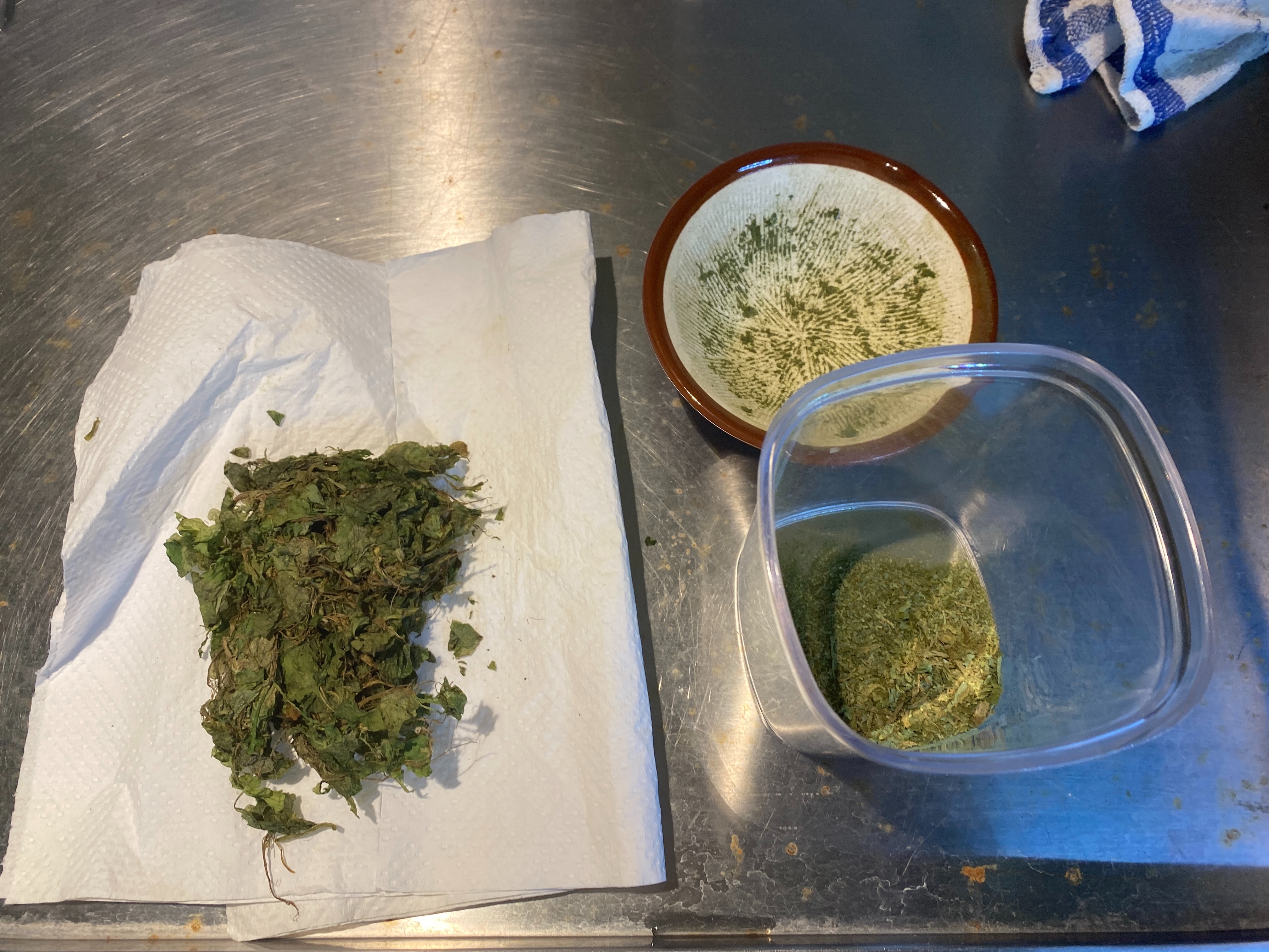 f:id:popopoppun:20230404083356j:image