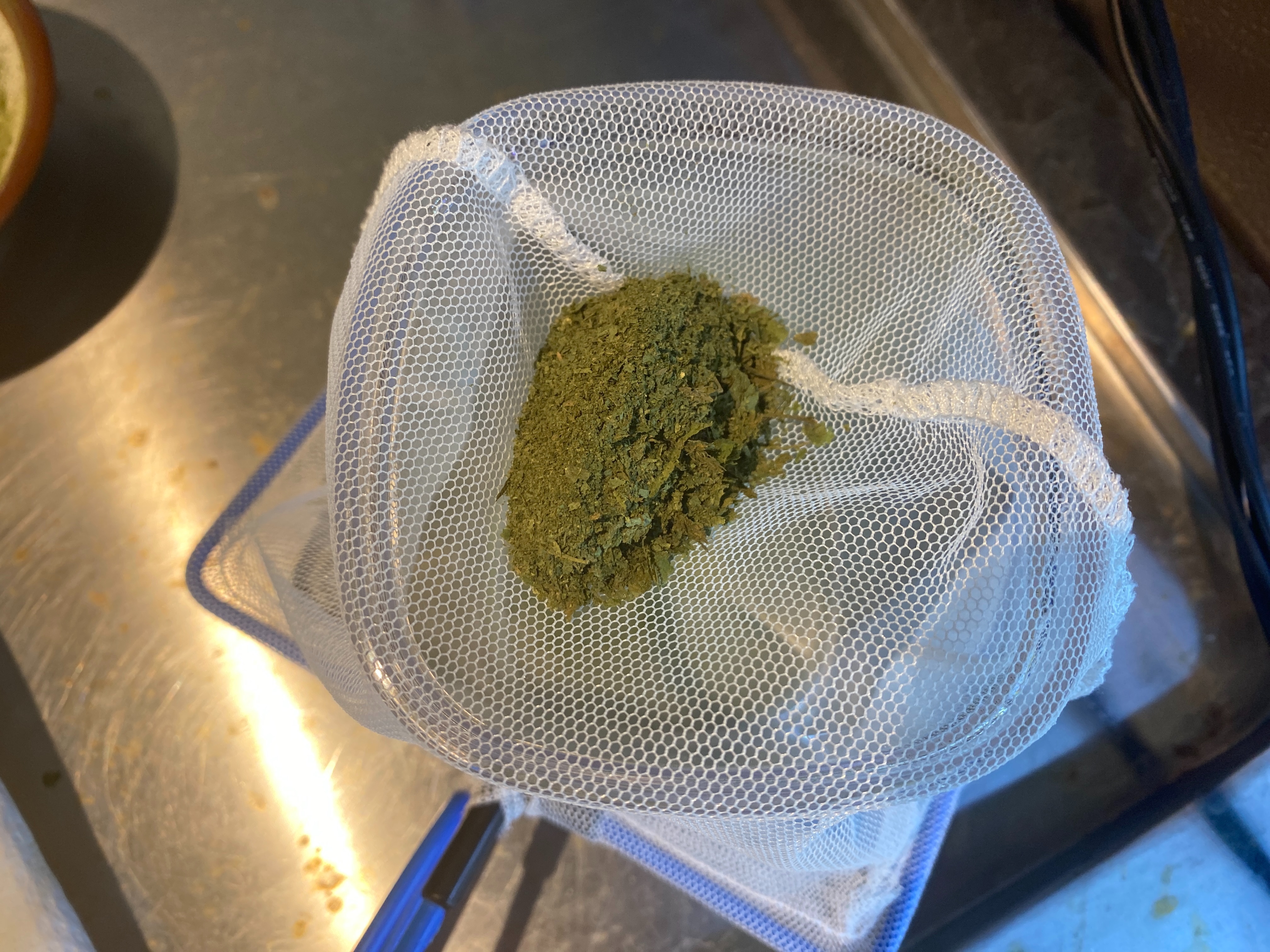 f:id:popopoppun:20230404083521j:image