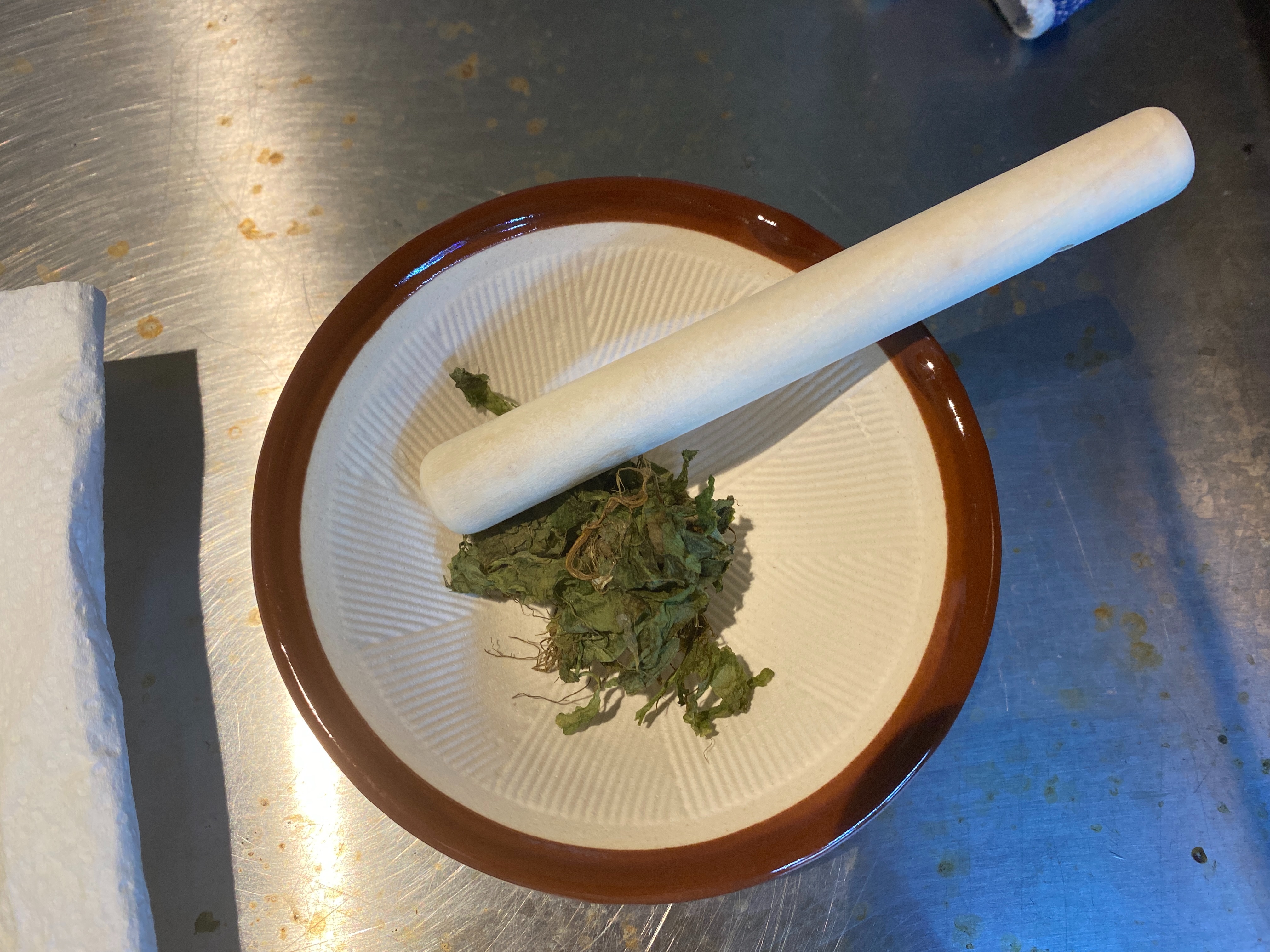 f:id:popopoppun:20230404083711j:image