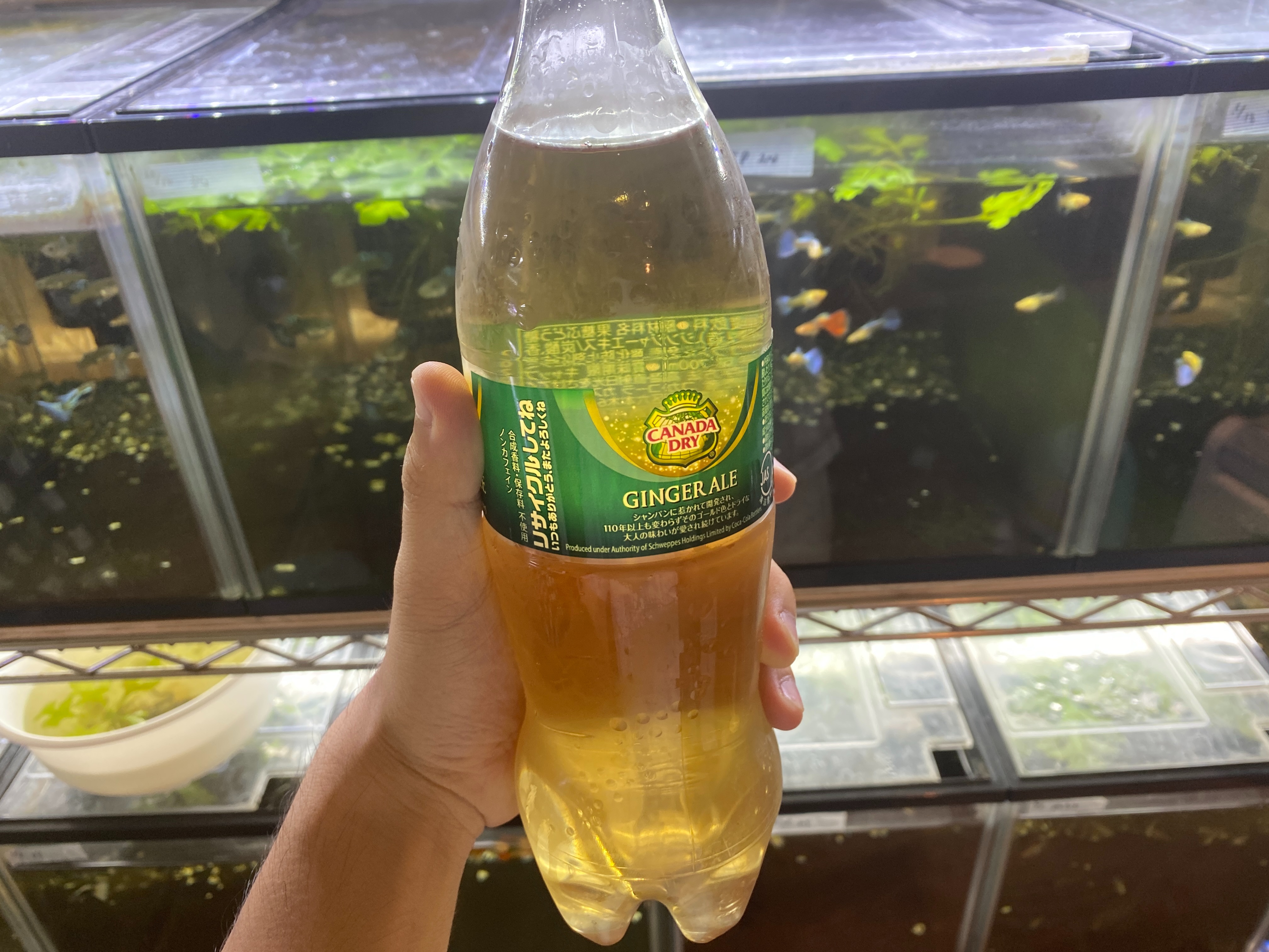 f:id:popopoppun:20230405214944j:image