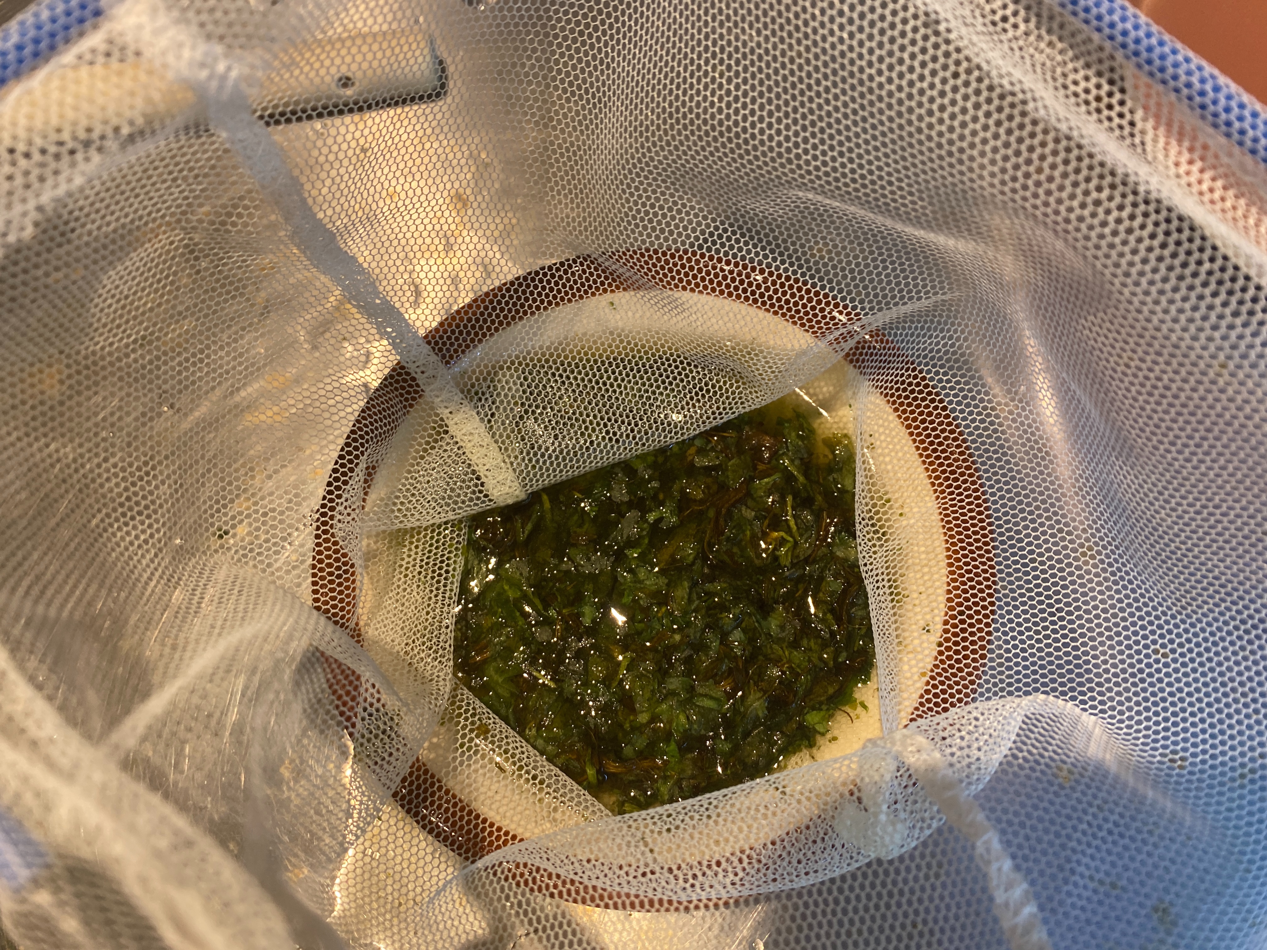 f:id:popopoppun:20230405214951j:image