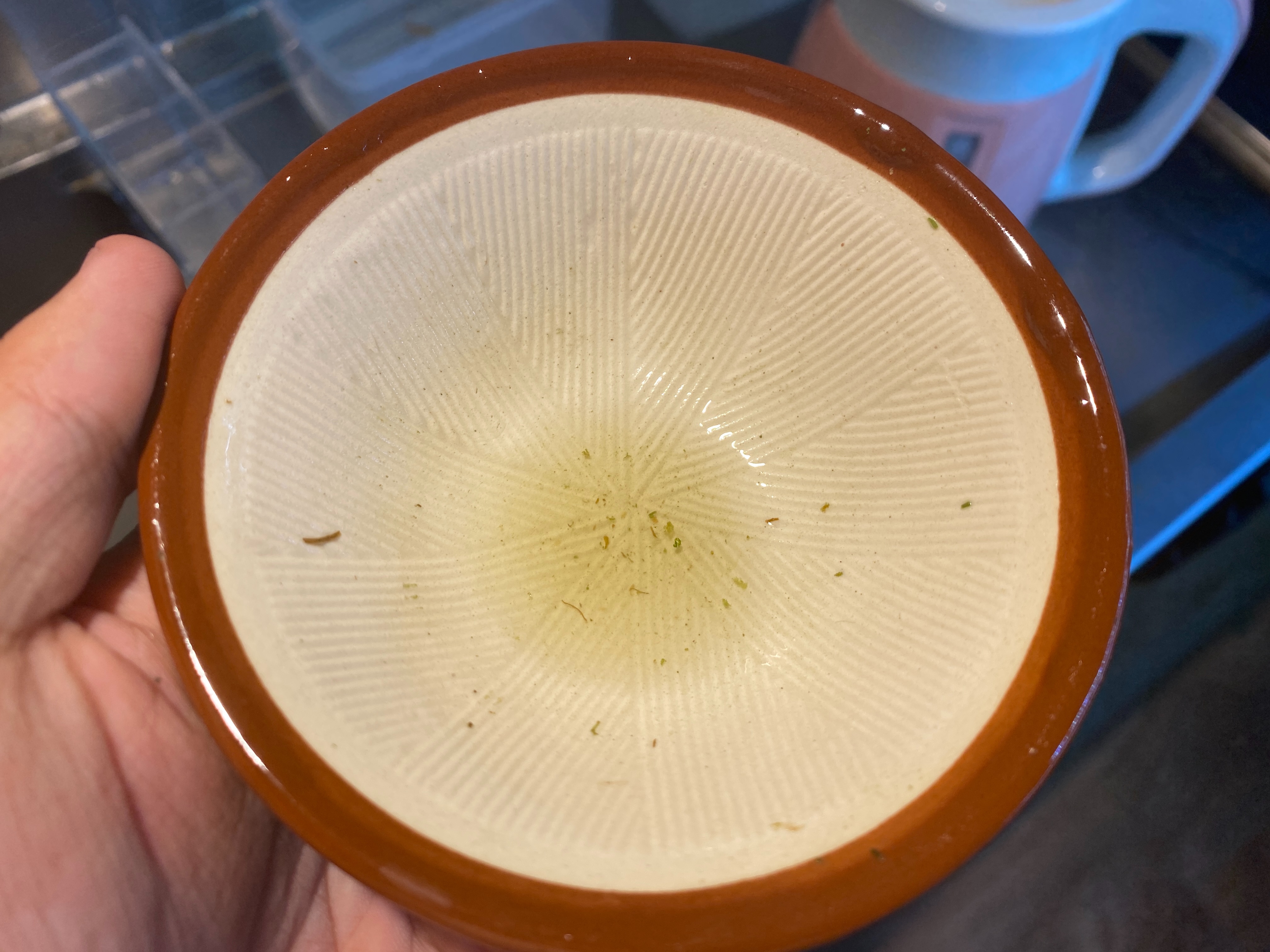 f:id:popopoppun:20230405215008j:image