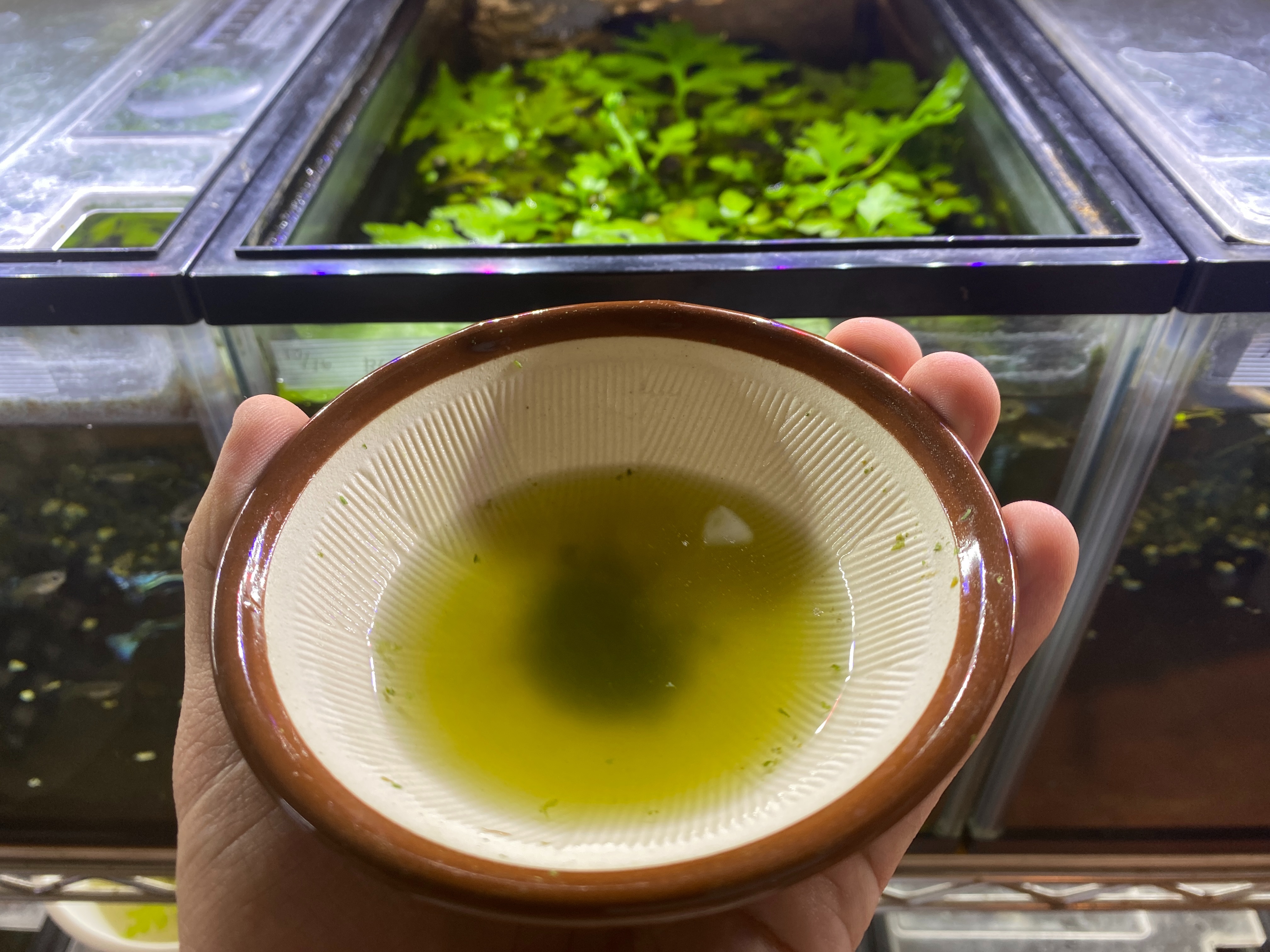 f:id:popopoppun:20230405215015j:image