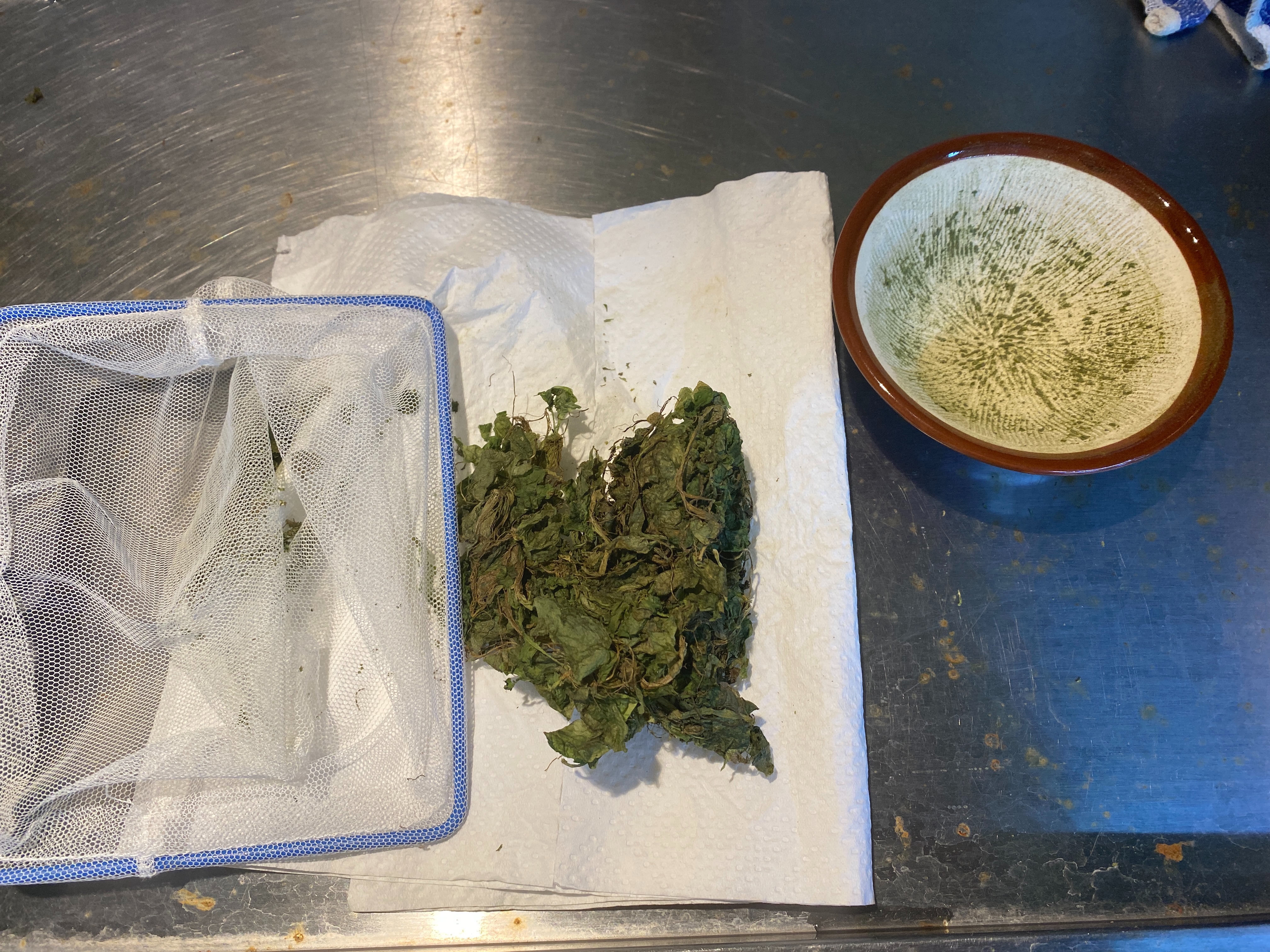 f:id:popopoppun:20230405215023j:image