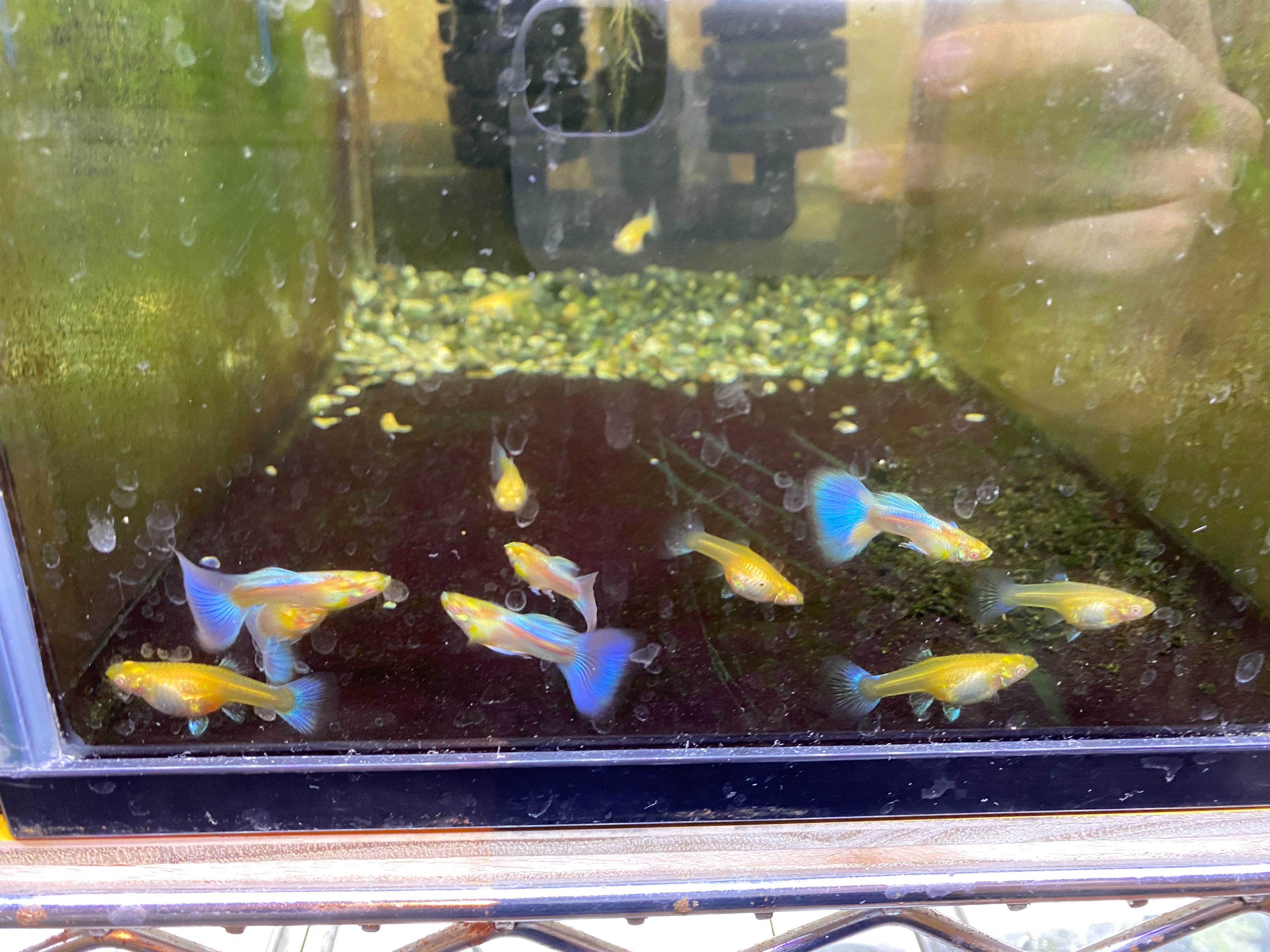 f:id:popopoppun:20230417204650j:image