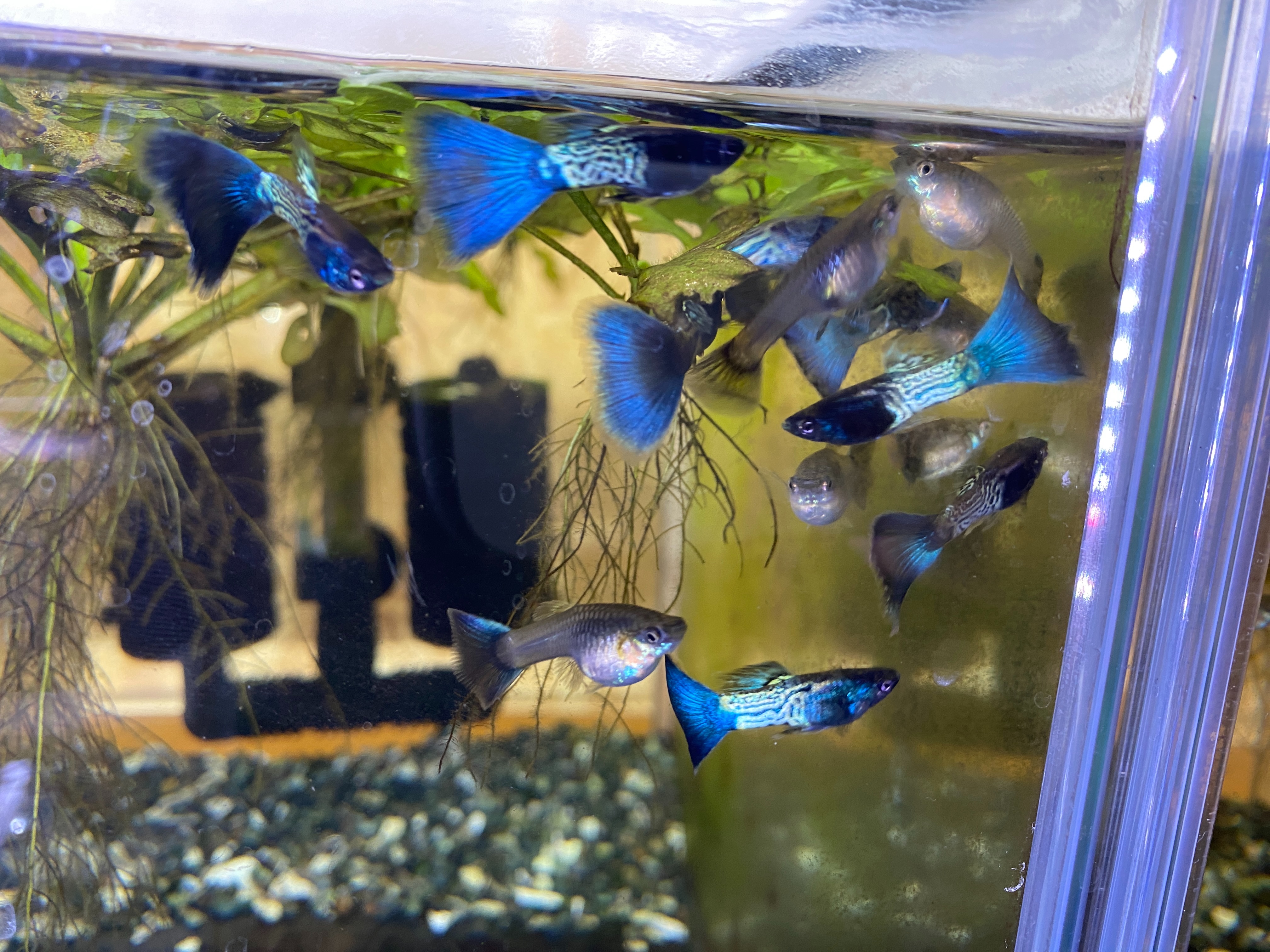 f:id:popopoppun:20230417204832j:image