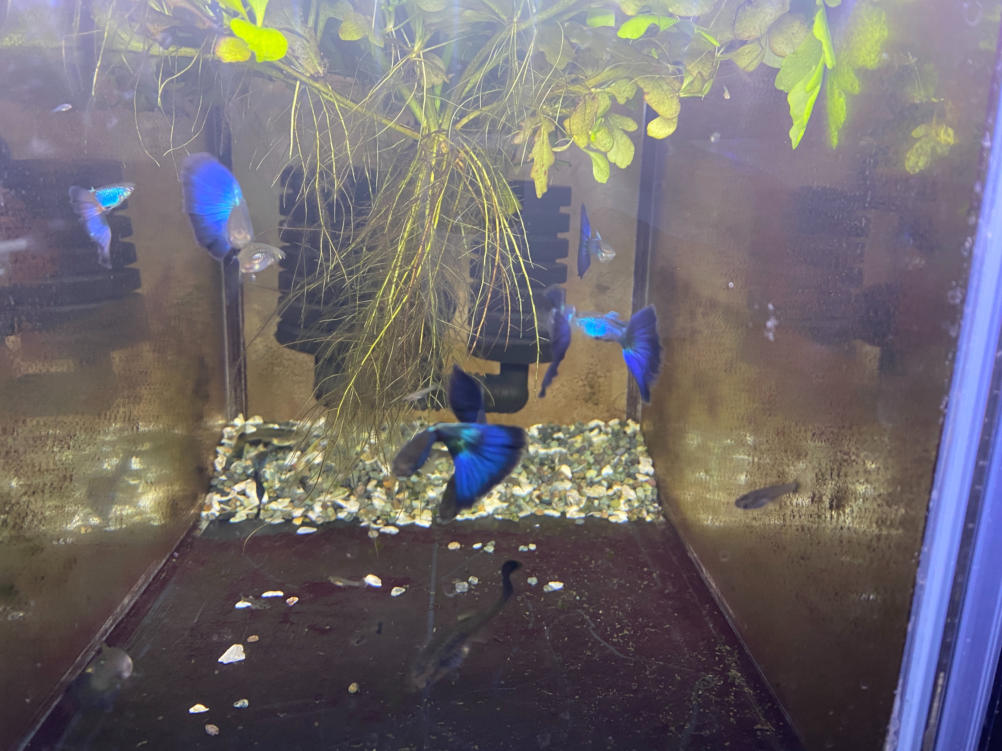 f:id:popopoppun:20230417210641j:image