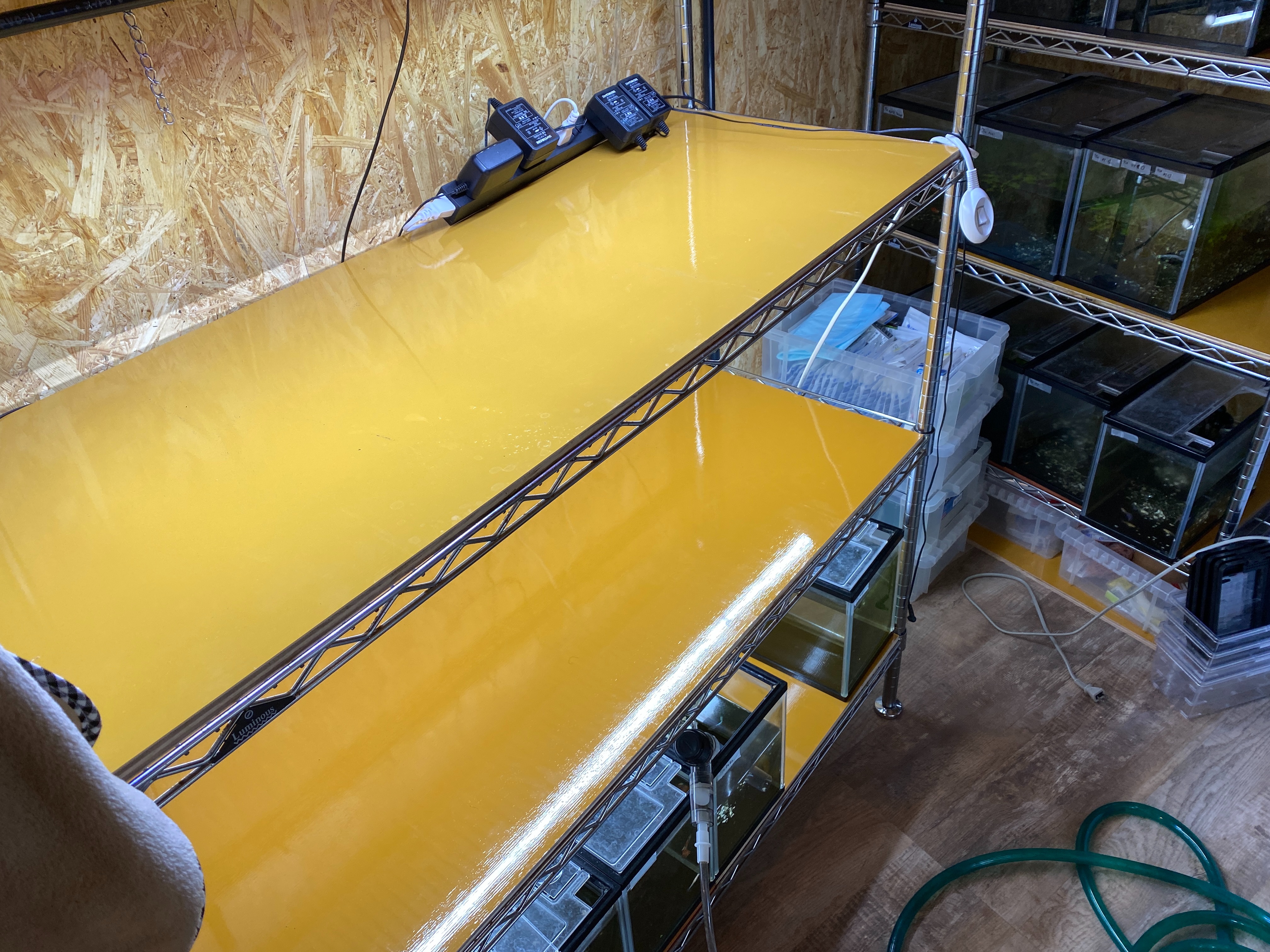 f:id:popopoppun:20230420235100j:image