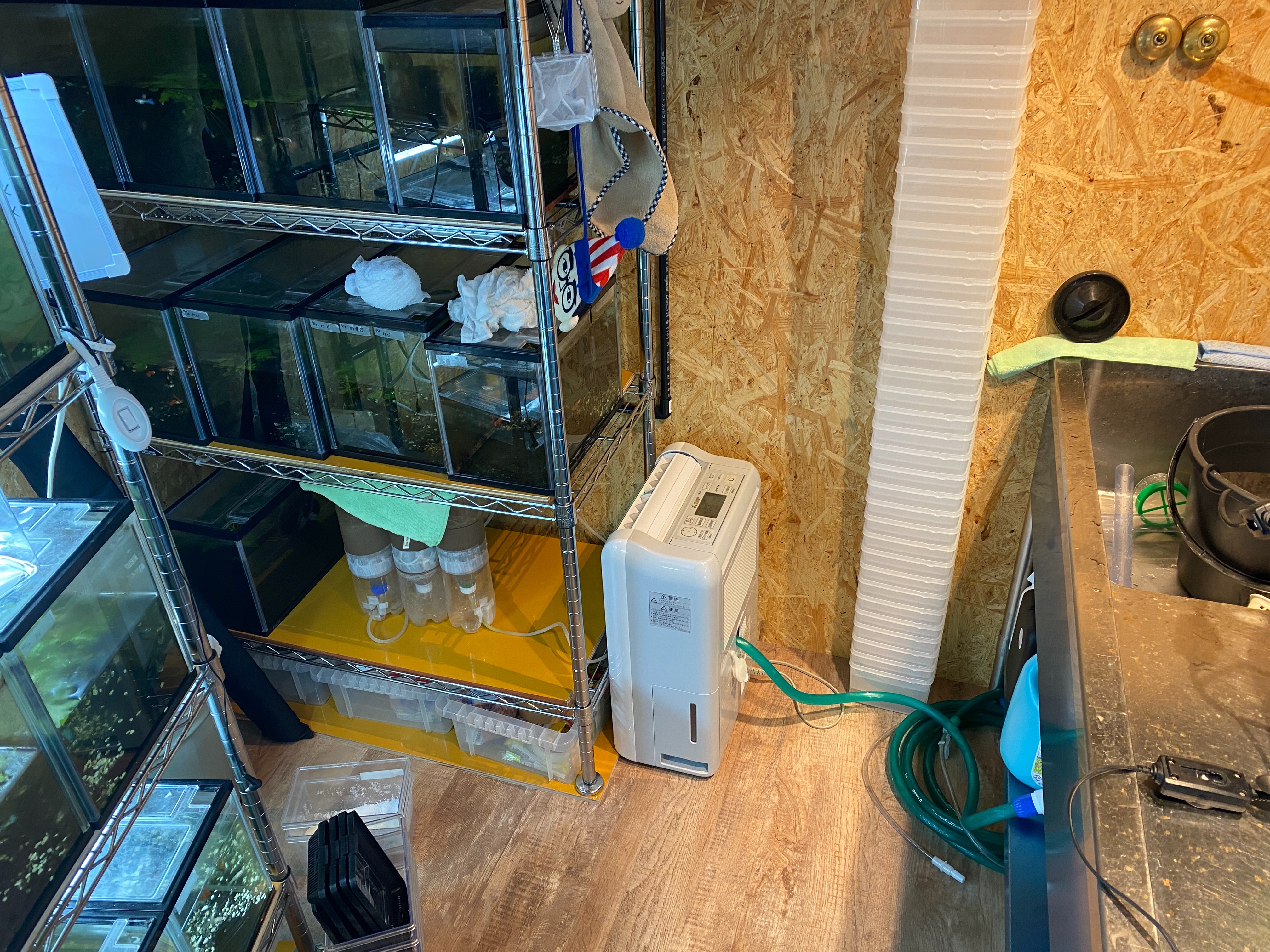 f:id:popopoppun:20230420235137j:image