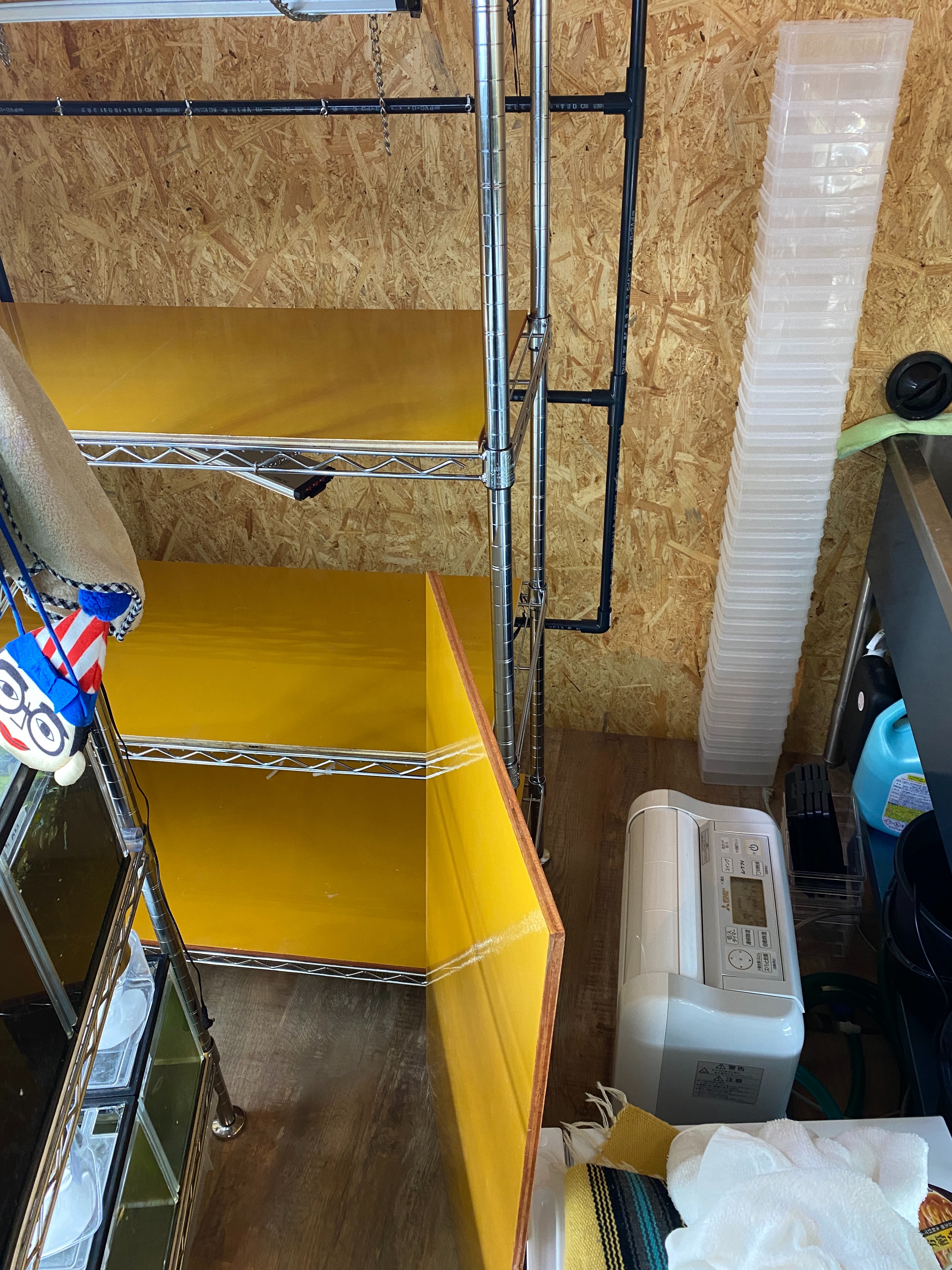 f:id:popopoppun:20230420235146j:image