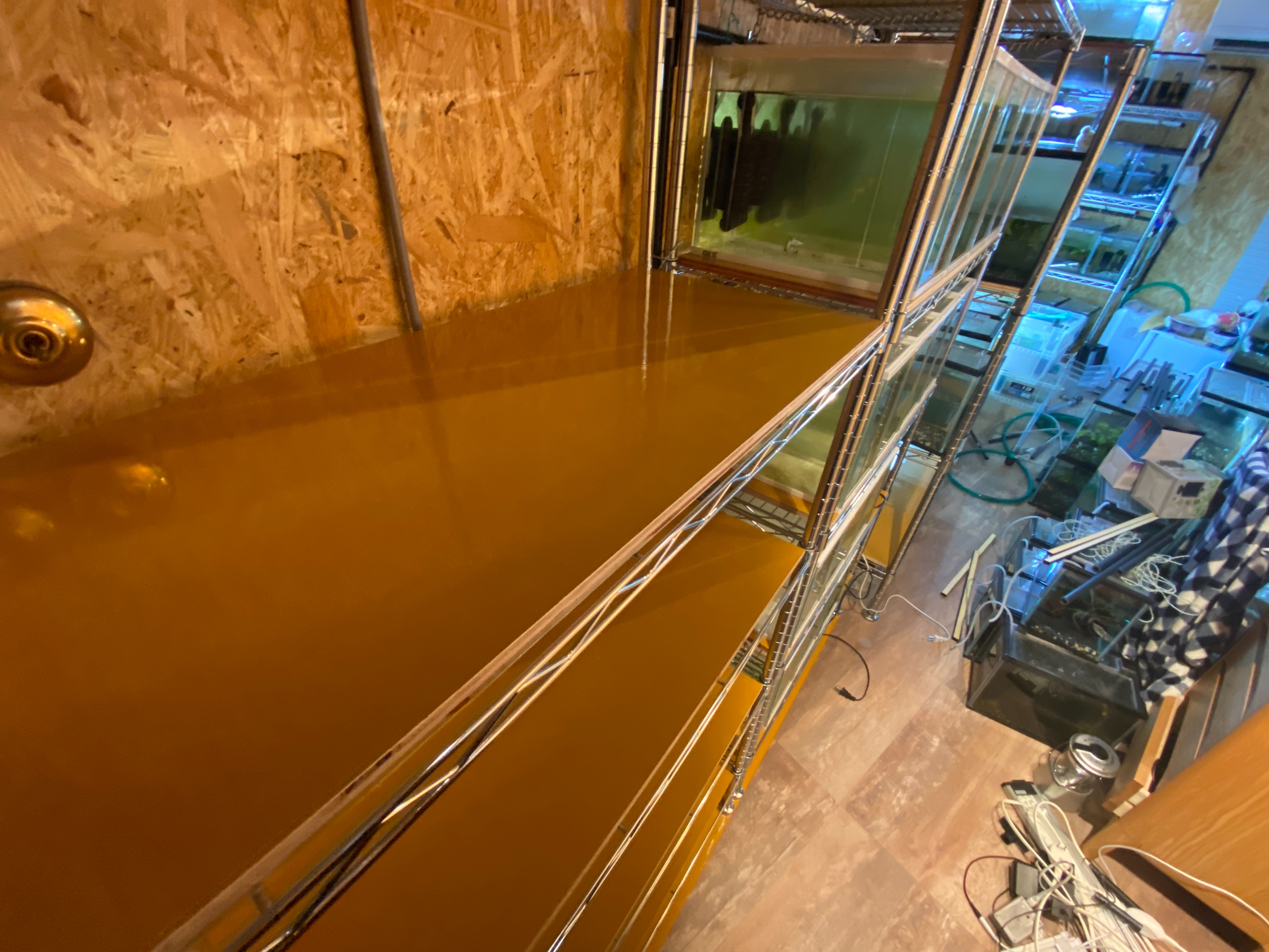 f:id:popopoppun:20230420235216j:image