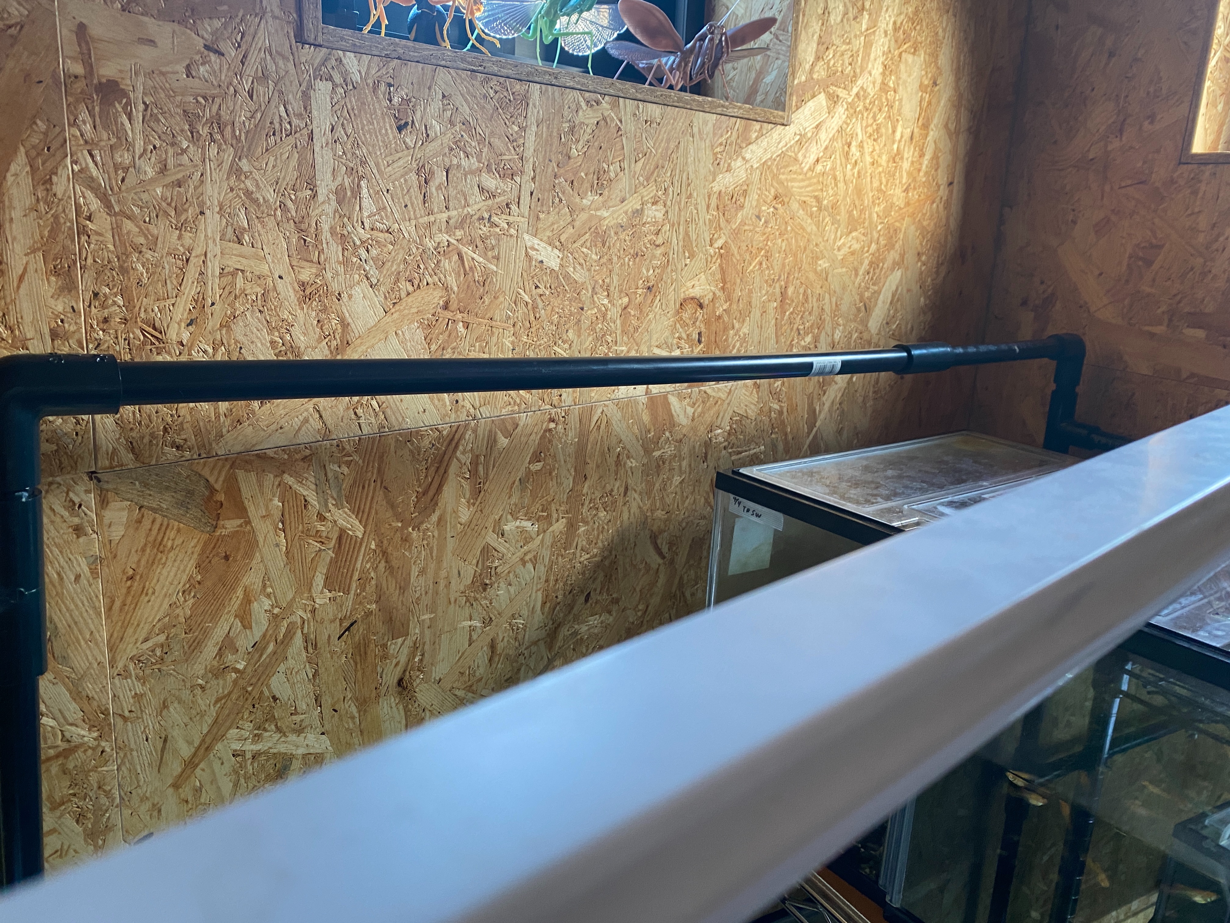 f:id:popopoppun:20230420235223j:image