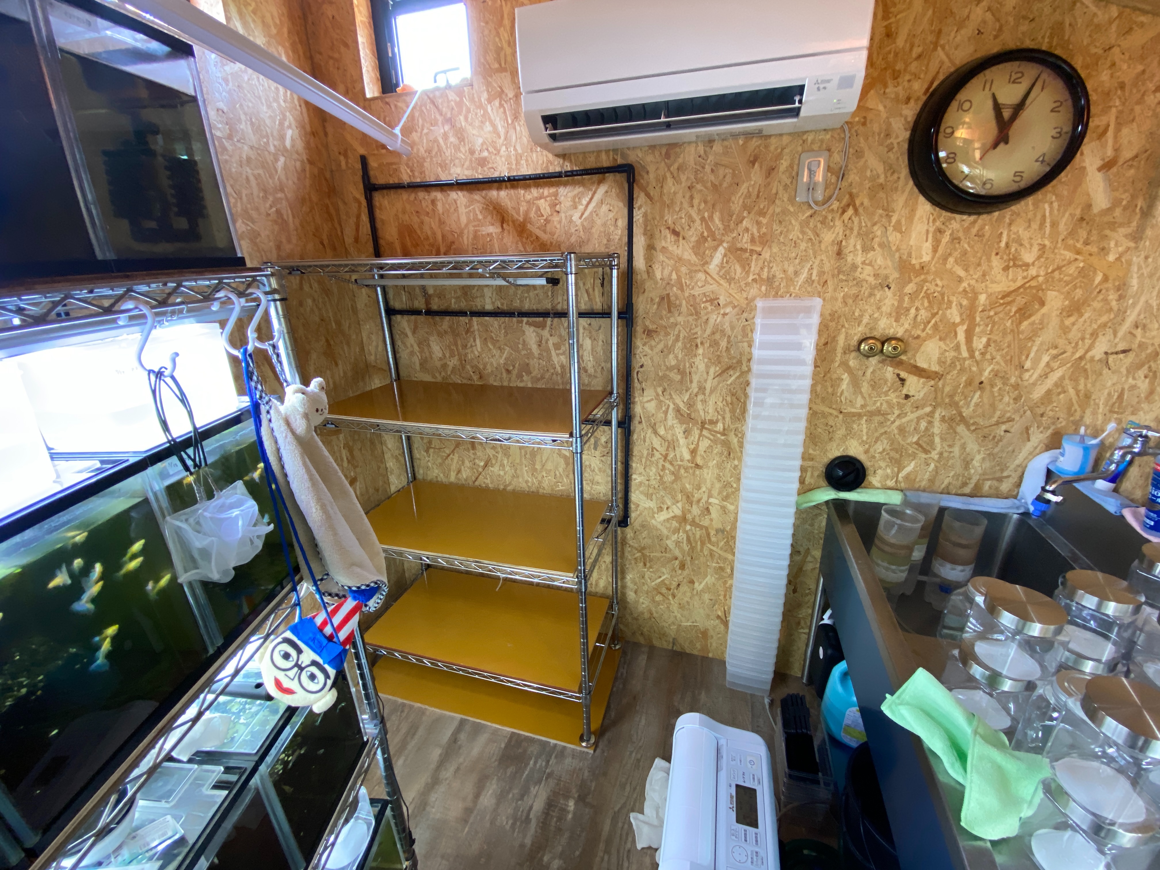 f:id:popopoppun:20230420235239j:image