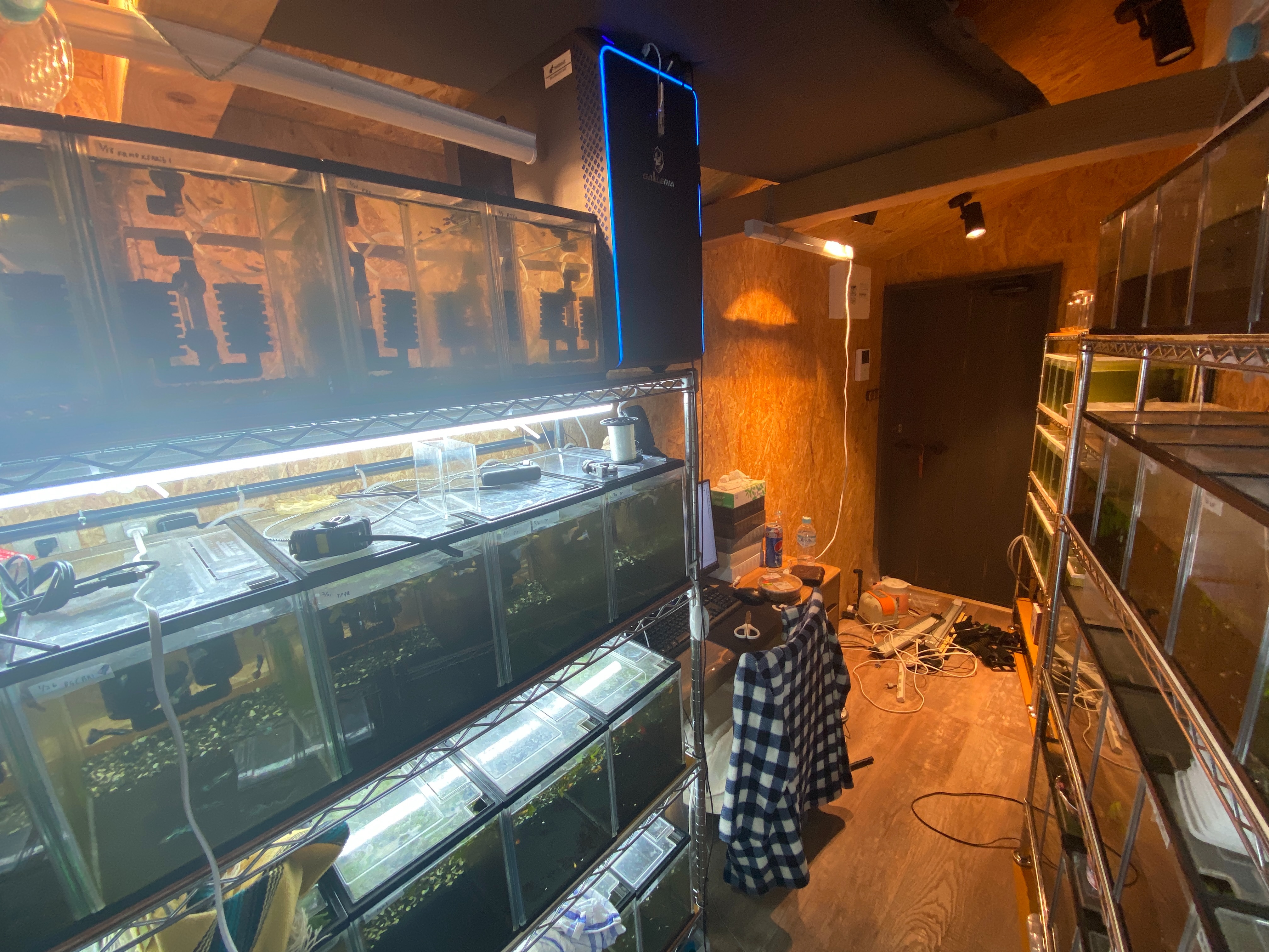 f:id:popopoppun:20230420235253j:image