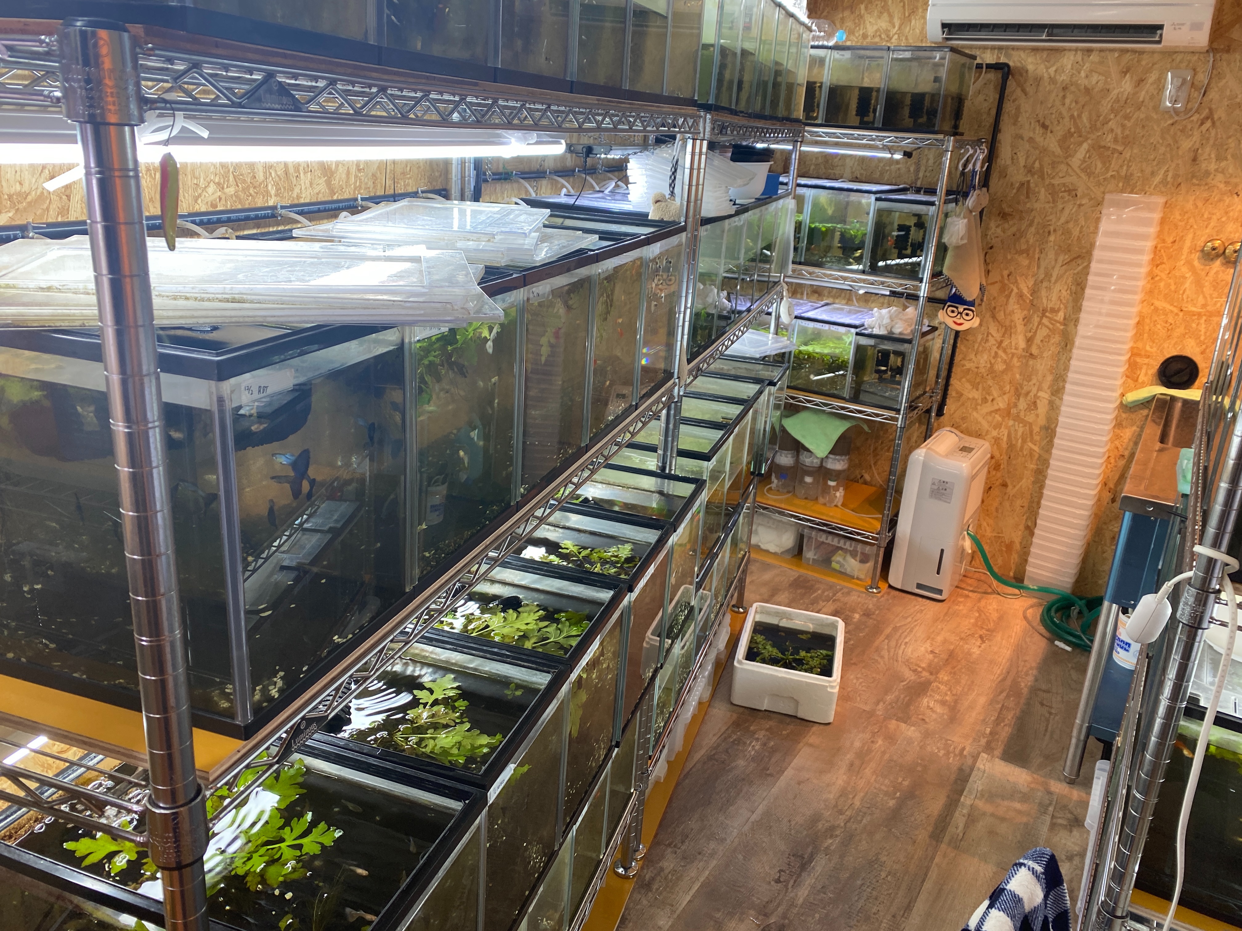 f:id:popopoppun:20230420235325j:image