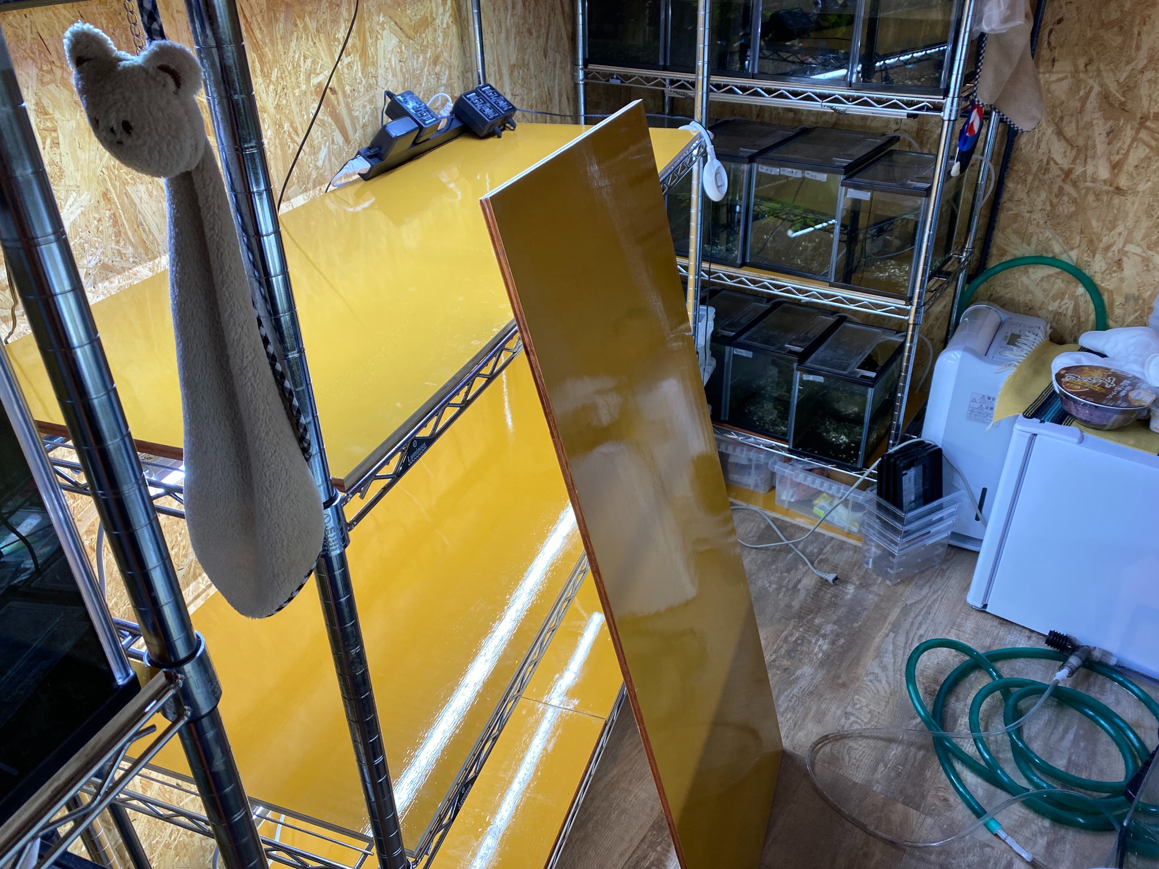 f:id:popopoppun:20230420235413j:image