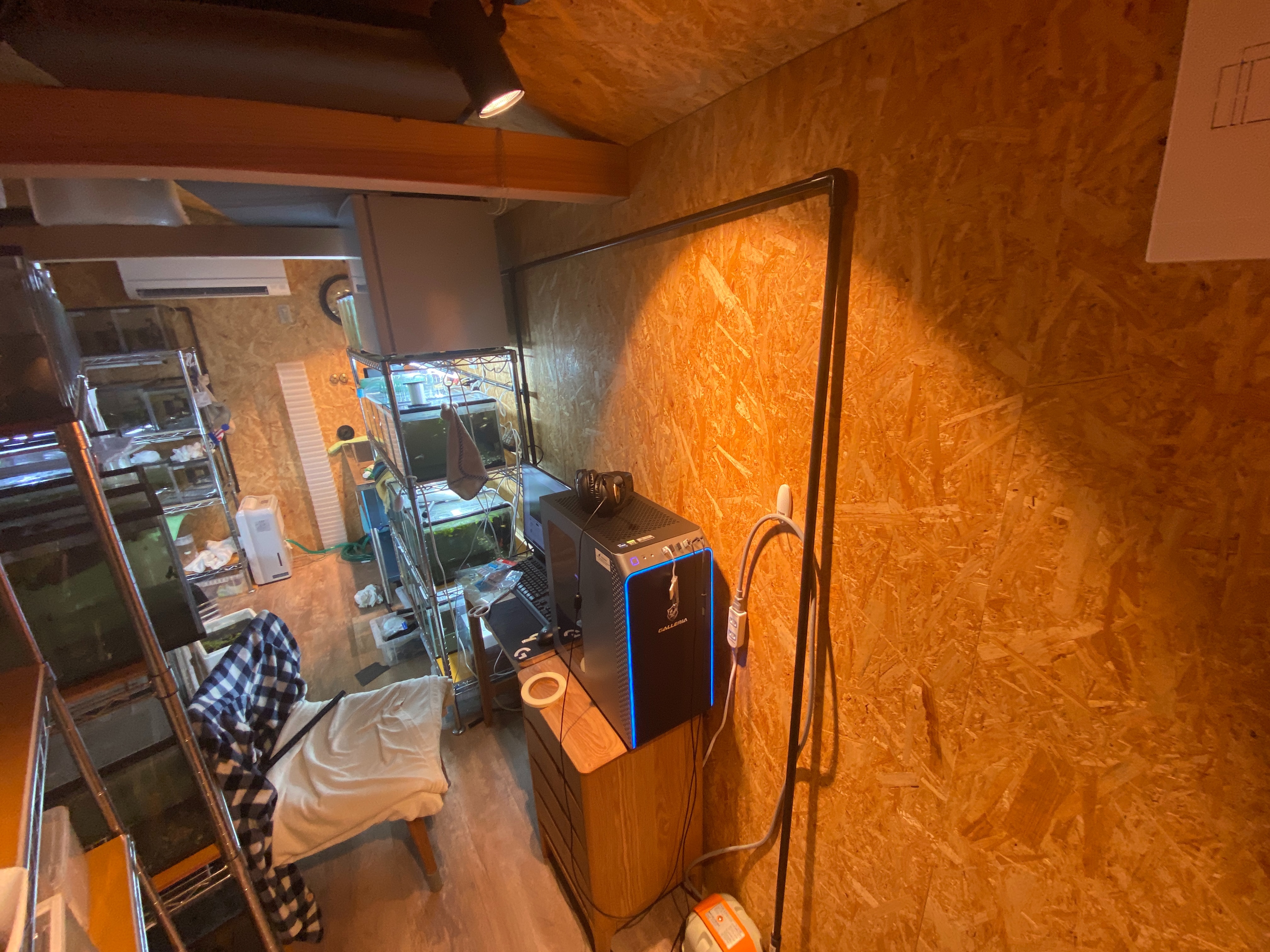 f:id:popopoppun:20230420235517j:image