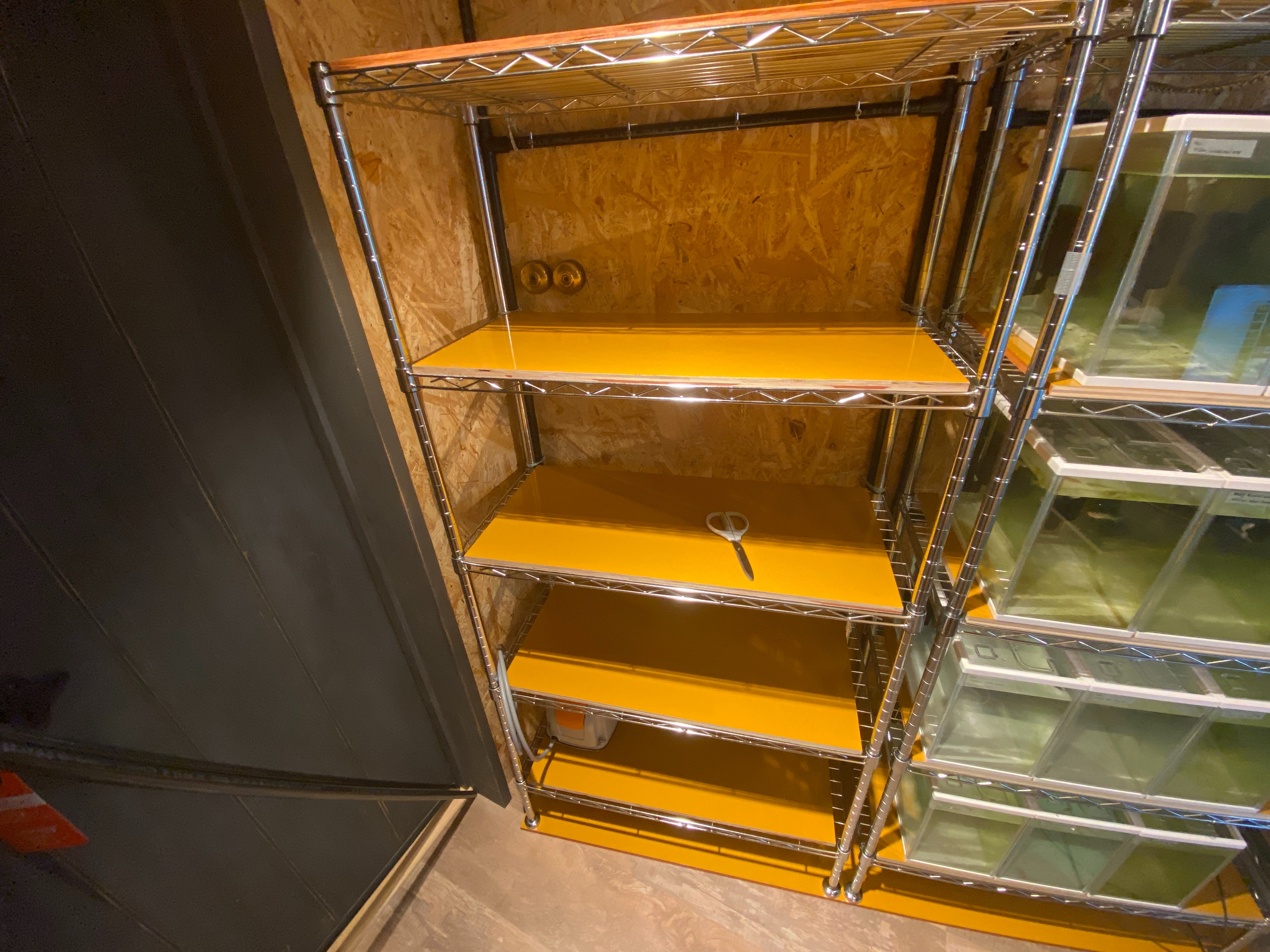 f:id:popopoppun:20230420235533j:image