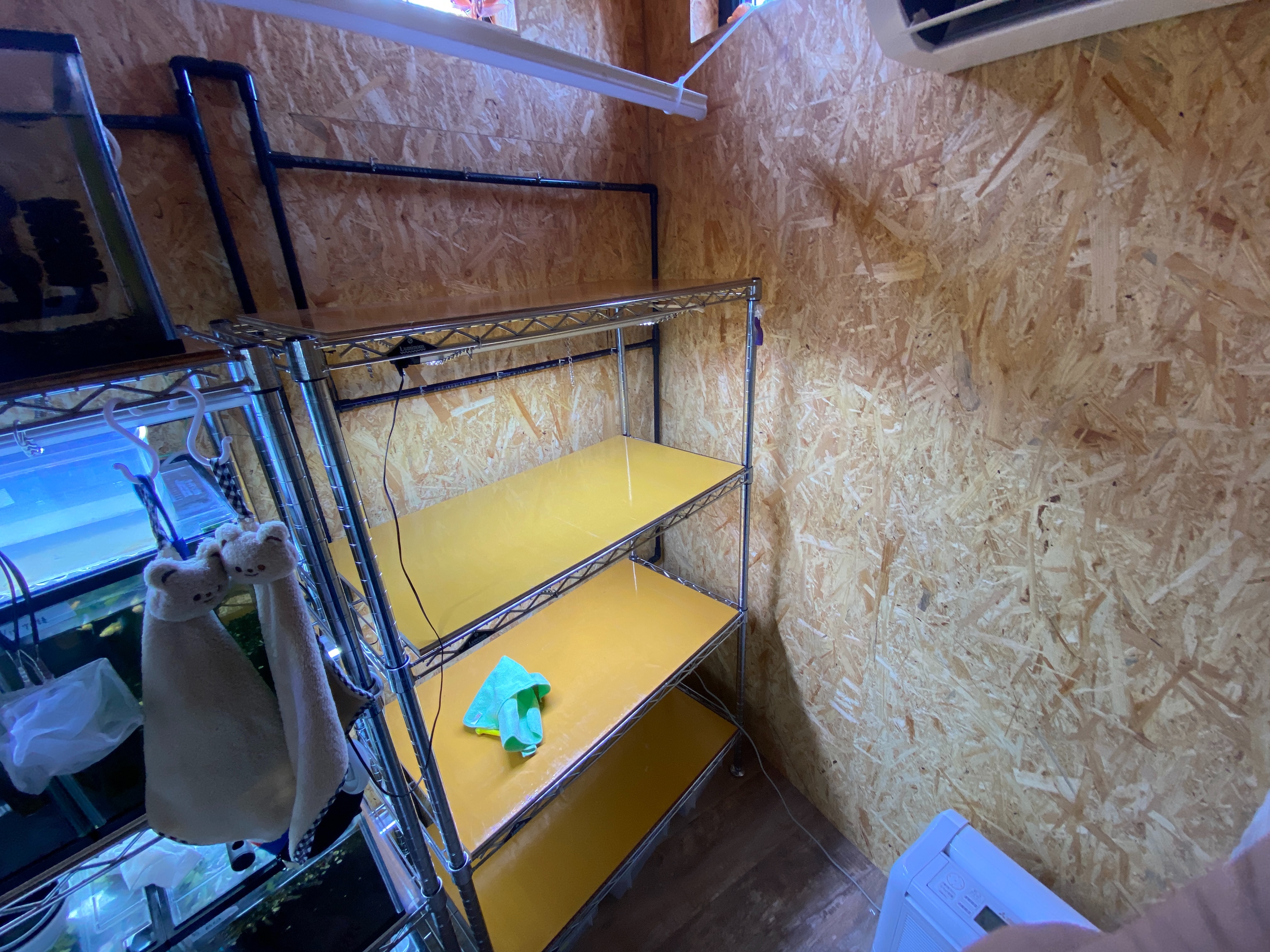 f:id:popopoppun:20230420235541j:image