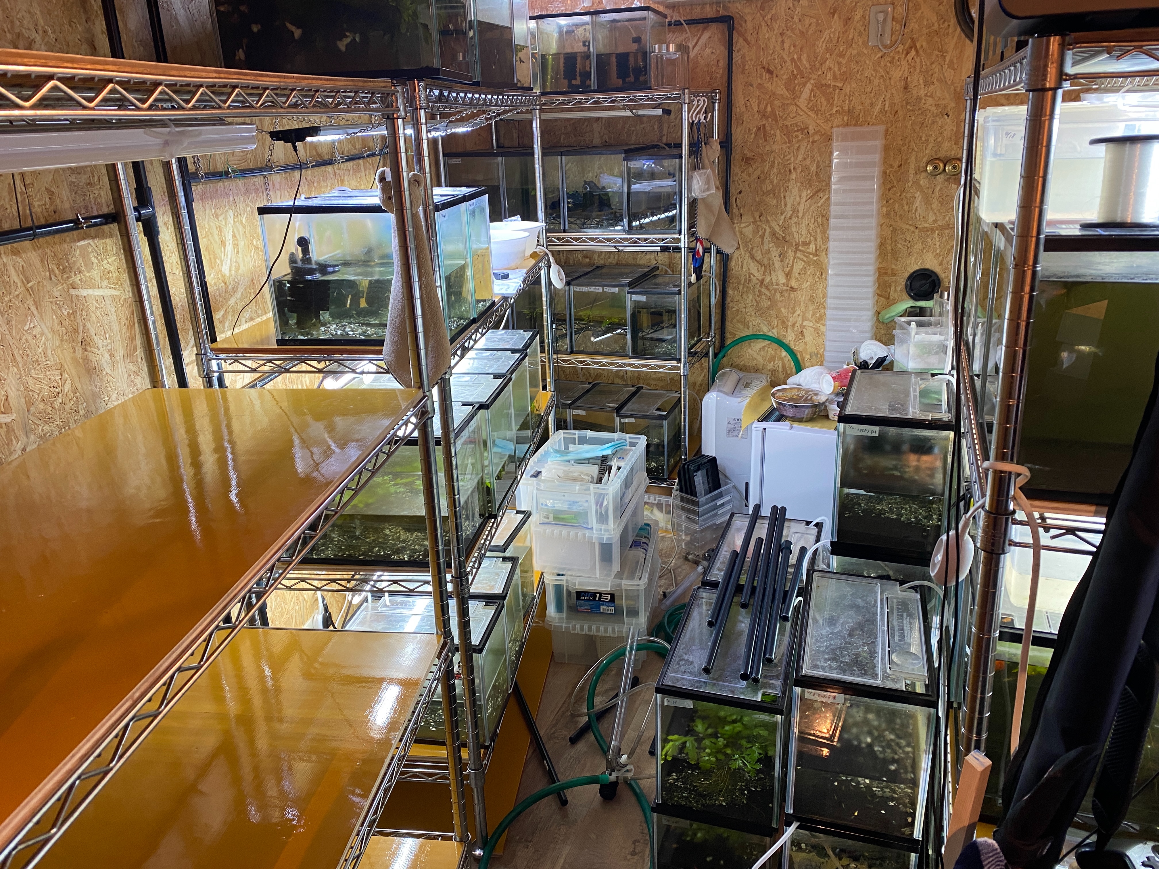 f:id:popopoppun:20230420235630j:image