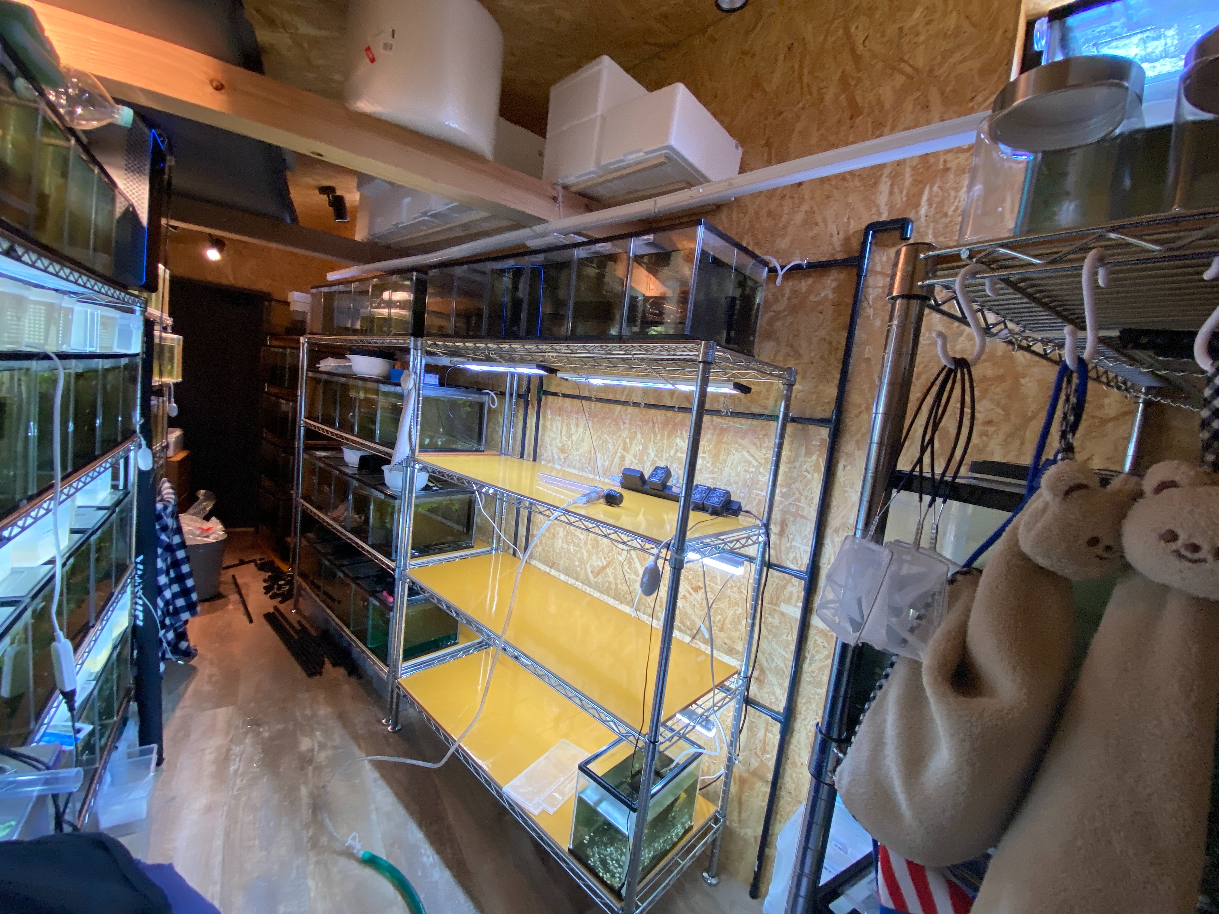 f:id:popopoppun:20230420235731j:image