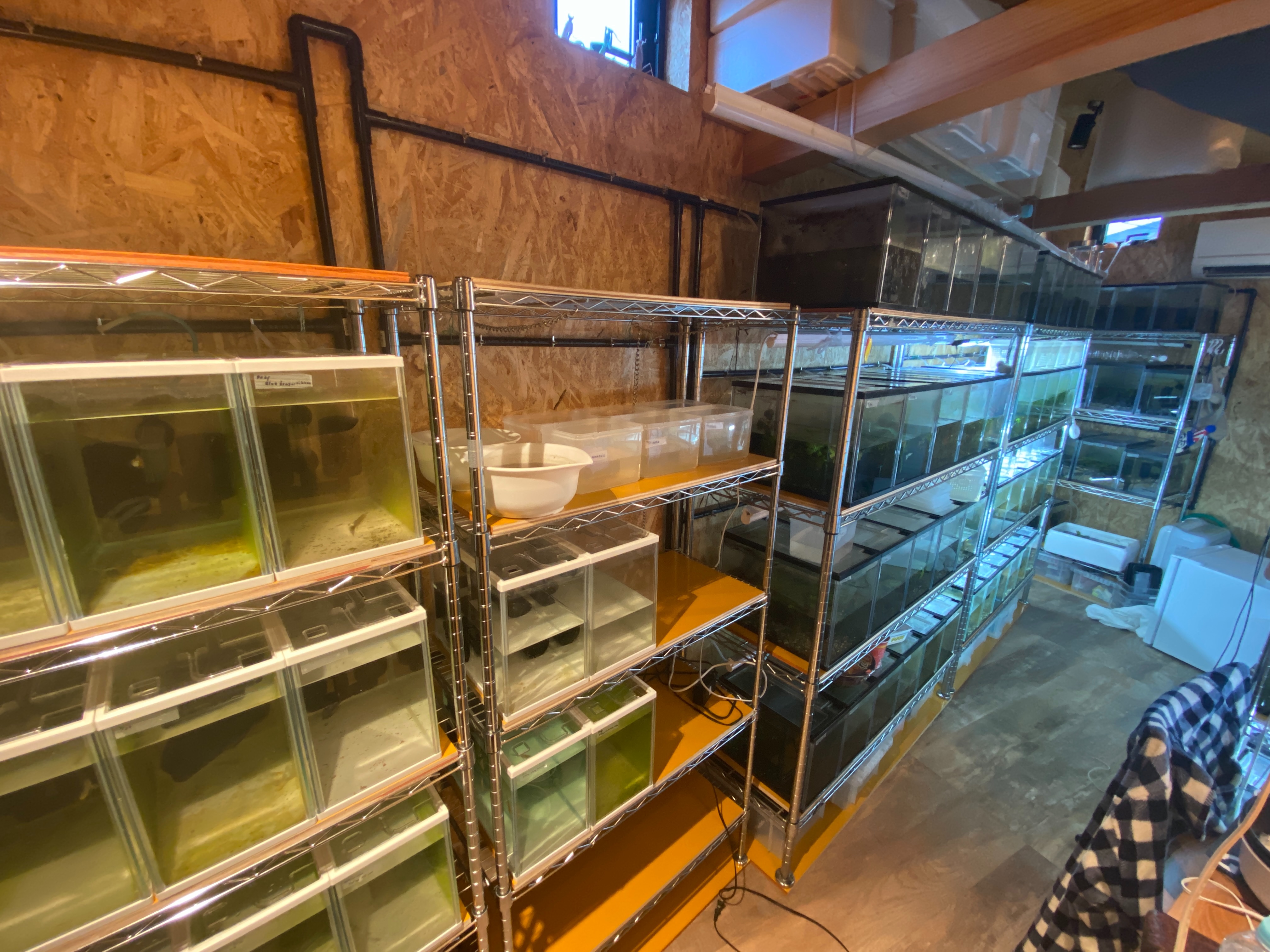 f:id:popopoppun:20230420235811j:image