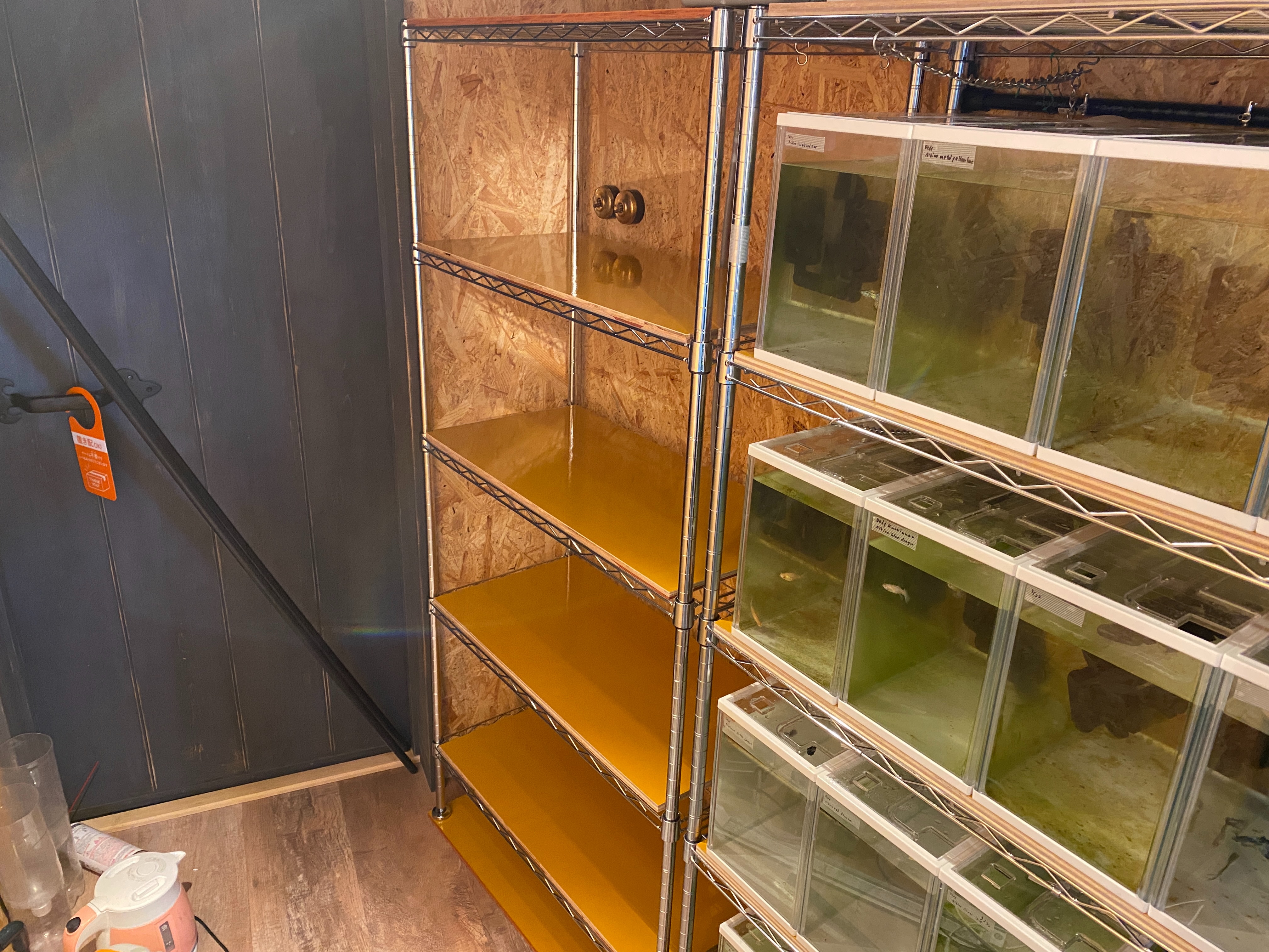 f:id:popopoppun:20230420235819j:image