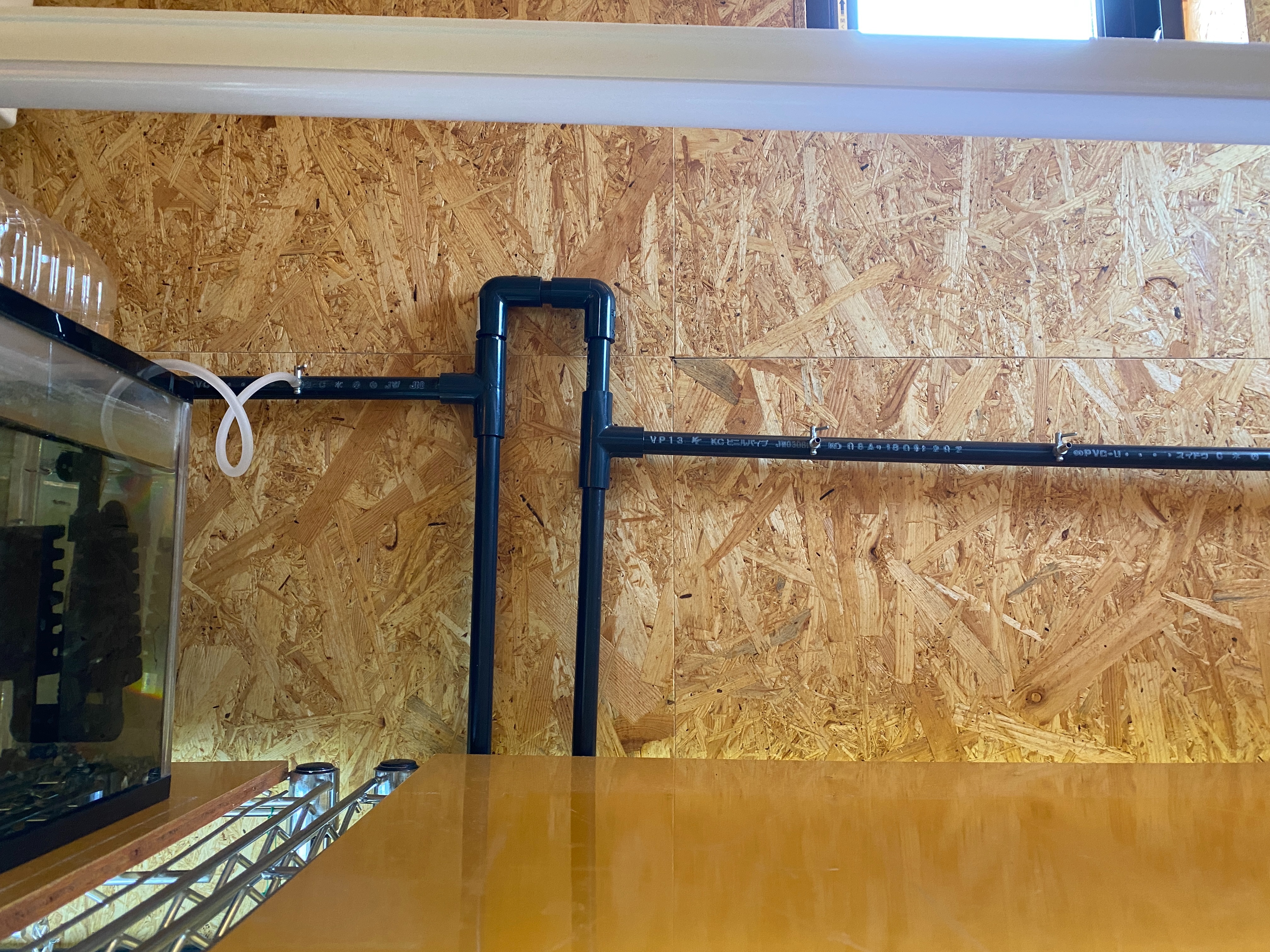 f:id:popopoppun:20230420235835j:image