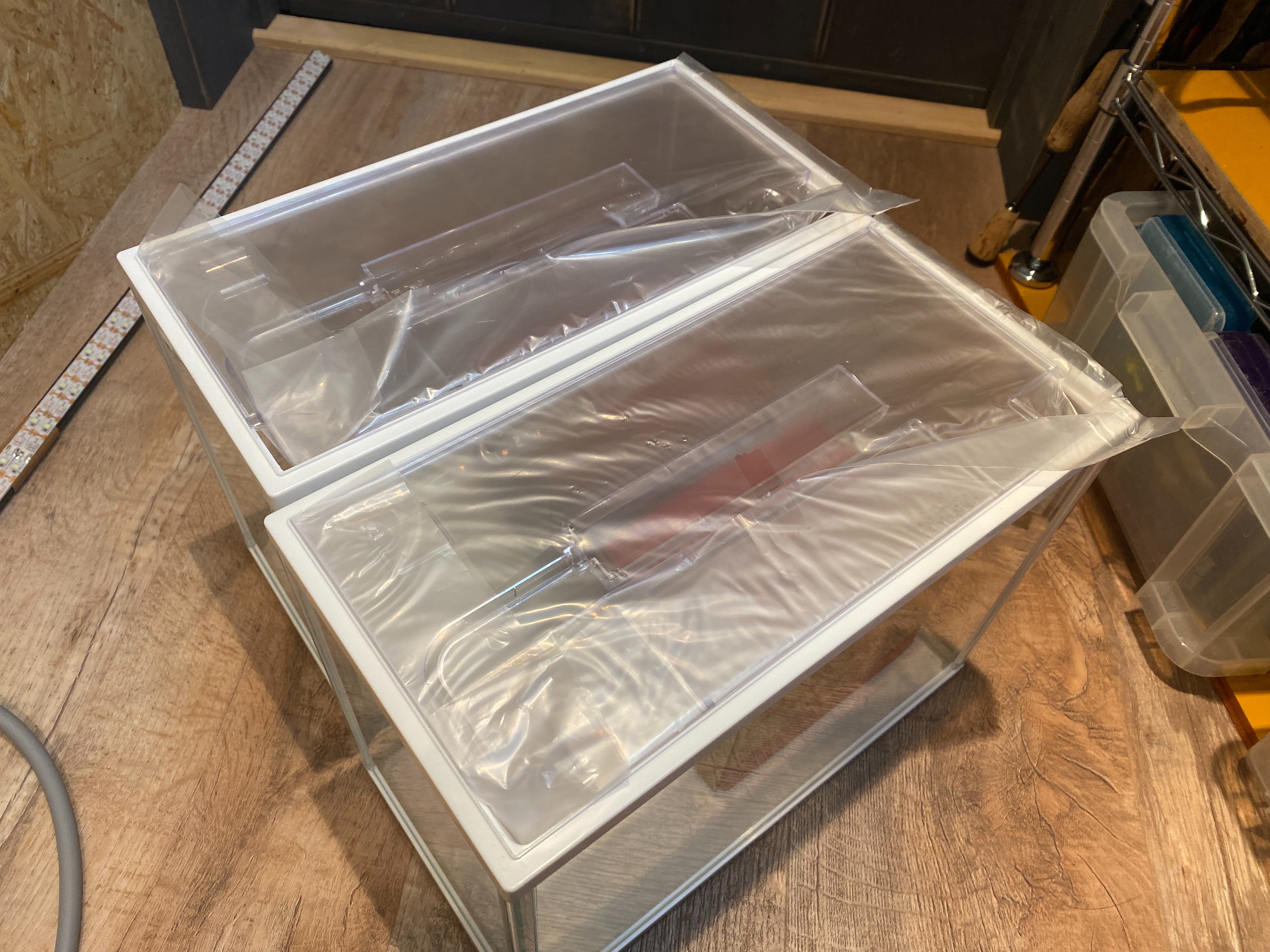 f:id:popopoppun:20230424234845j:image