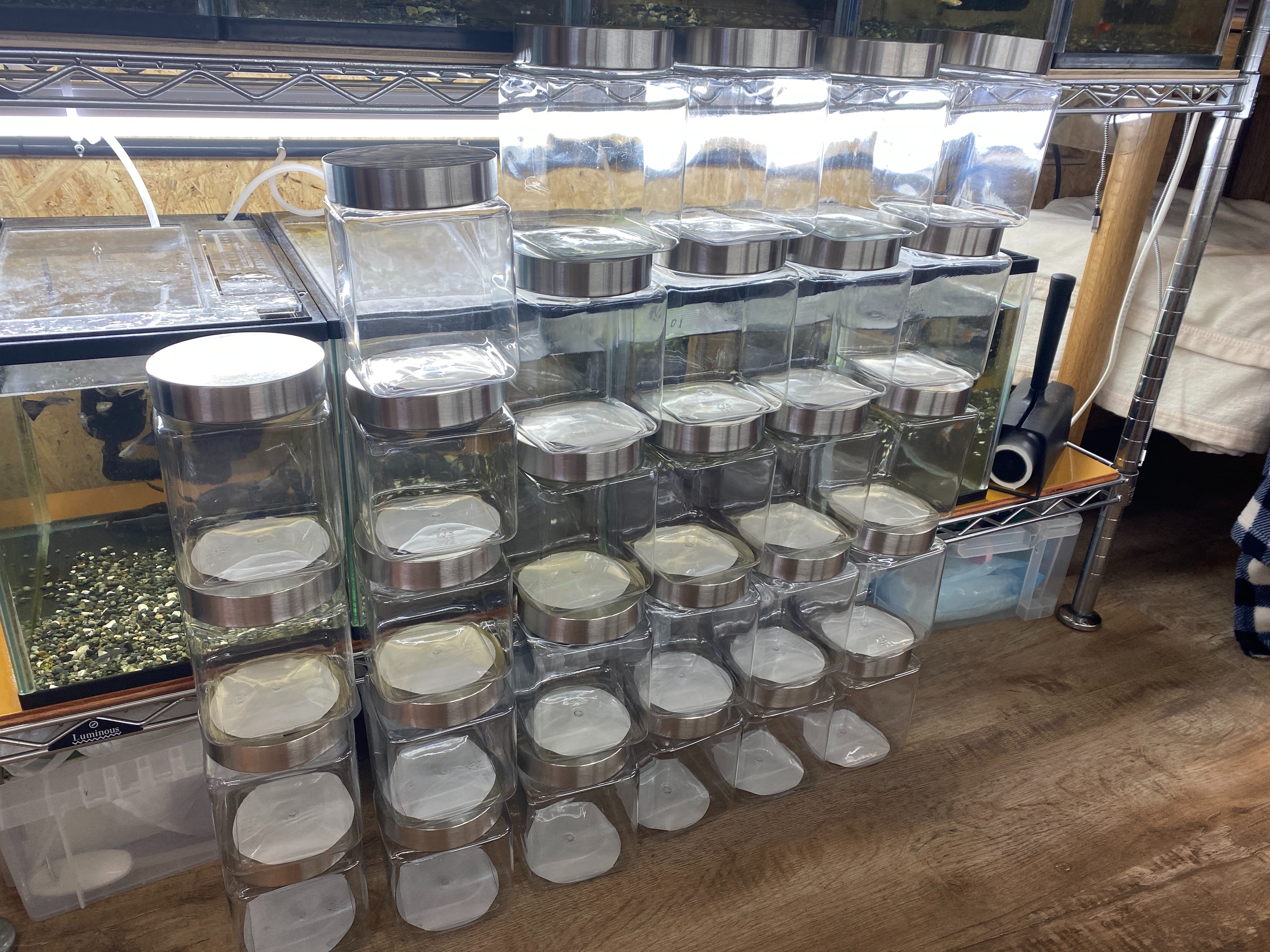 f:id:popopoppun:20230424234911j:image